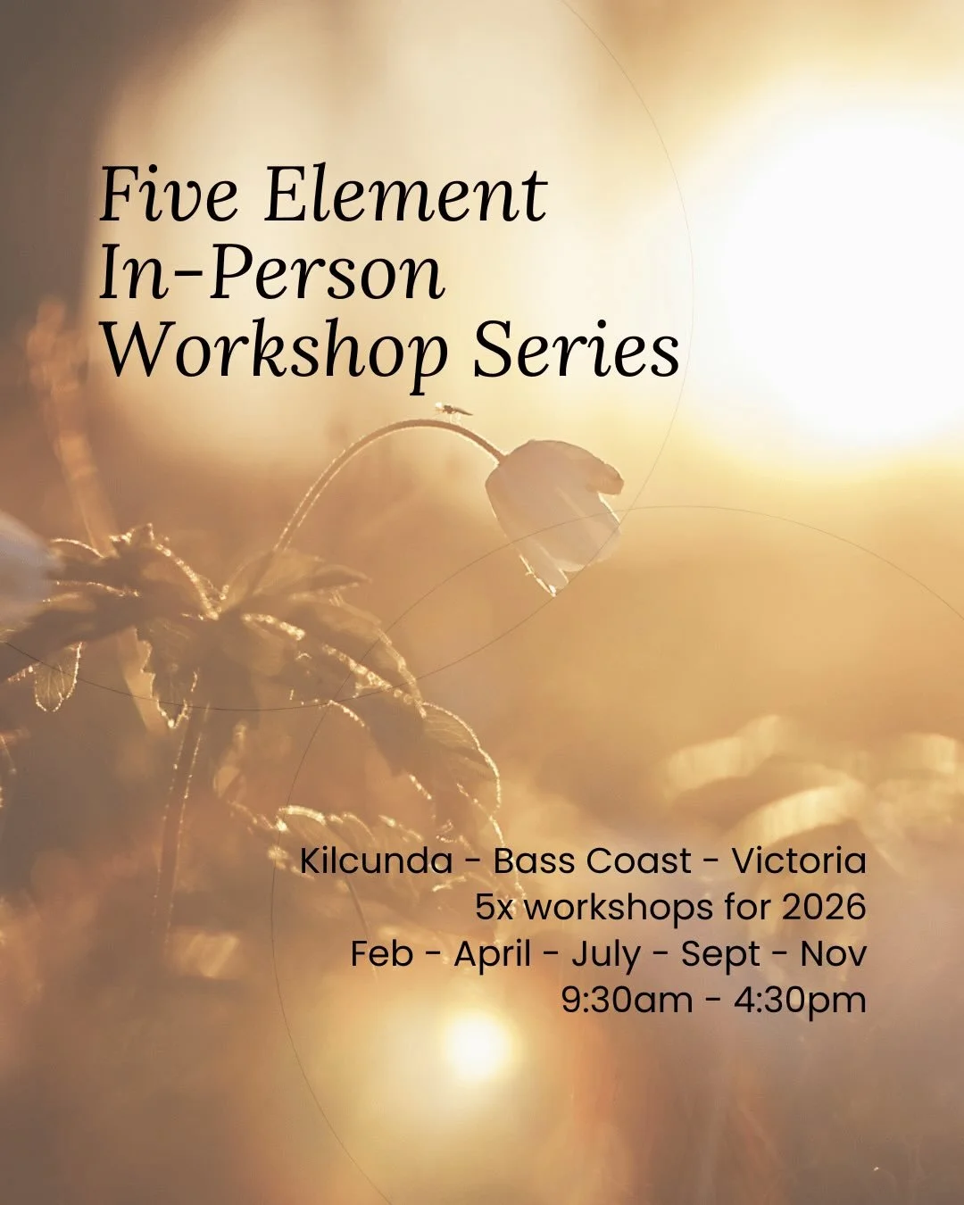 A Year of Moving with Nature

Nature doesn&rsquo;t move in straight lines. It moves in circles, spirals, seasons.

The elements aren&rsquo;t something we learn once and move past. They&rsquo;re a cycle we enter, leave, and return to, again and again,