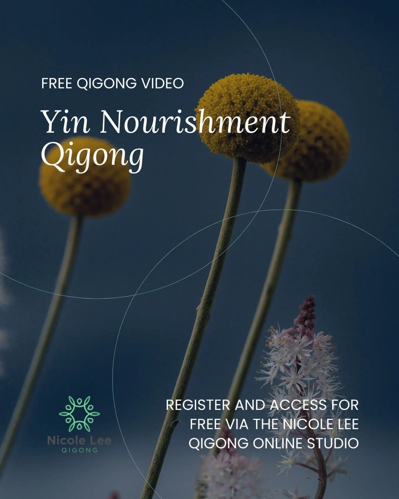 Most of us are living in a state of constant output. Thinking, doing, pushing, holding.

Yin is the part of you that knows how to receive again.

I&rsquo;ve created a free Yin Nourishment Qigong practice for those moments when your system feels scatt
