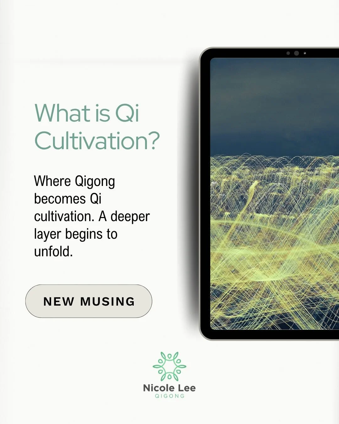 Often people come to Qigong looking for something.

To feel better in their body, to manage stress, to reconnect, or to open a doorway into something deeper.

All of these are good places to begin. But over time, something else starts to reveal itsel