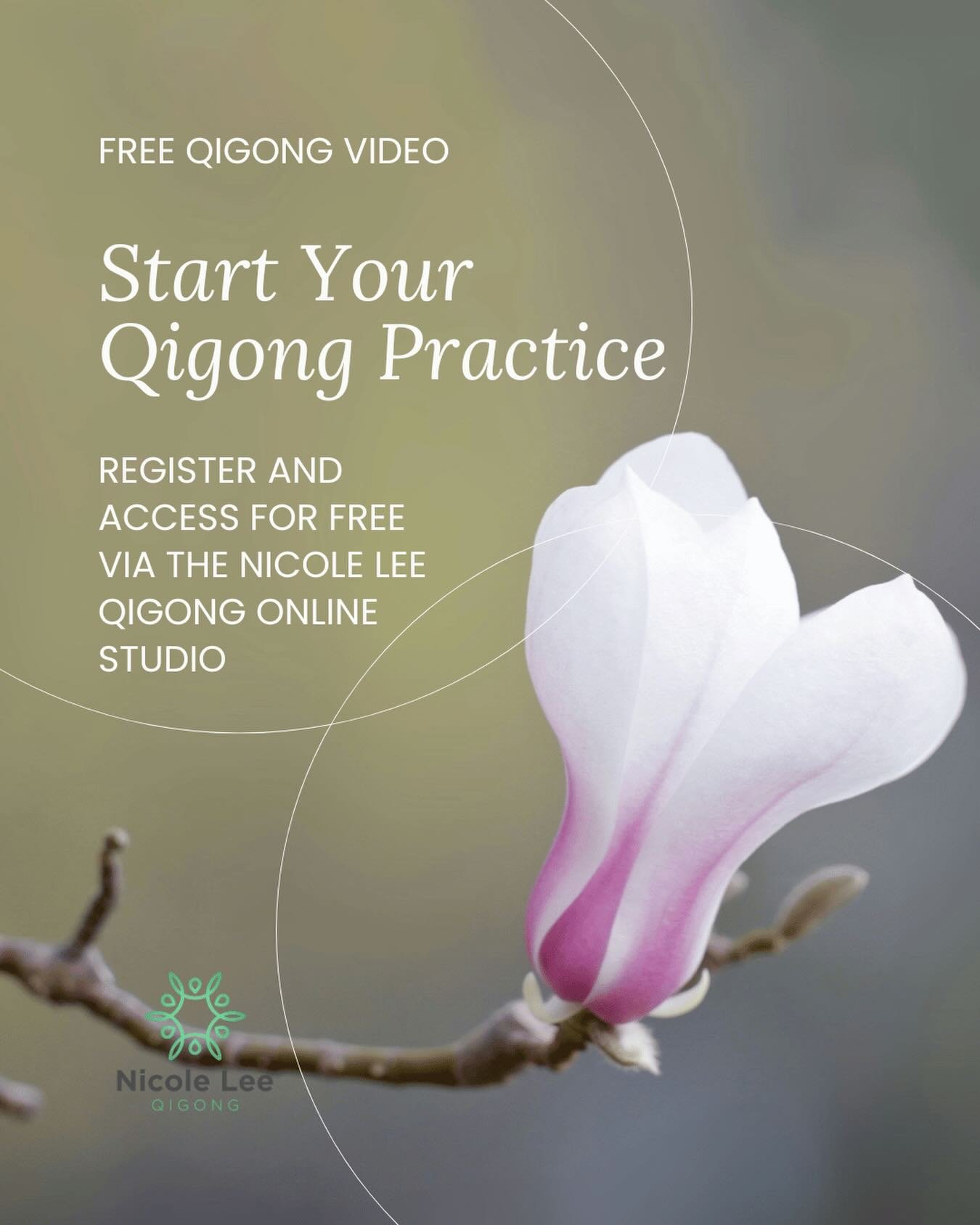 This is a short 12-minute Qigong practice focused on alignment and standing. Simple, but not superficial. It gives you a clear starting point to begin feeling Qi for yourself.

If your practice has been inconsistent or you&rsquo;re not sure where to 