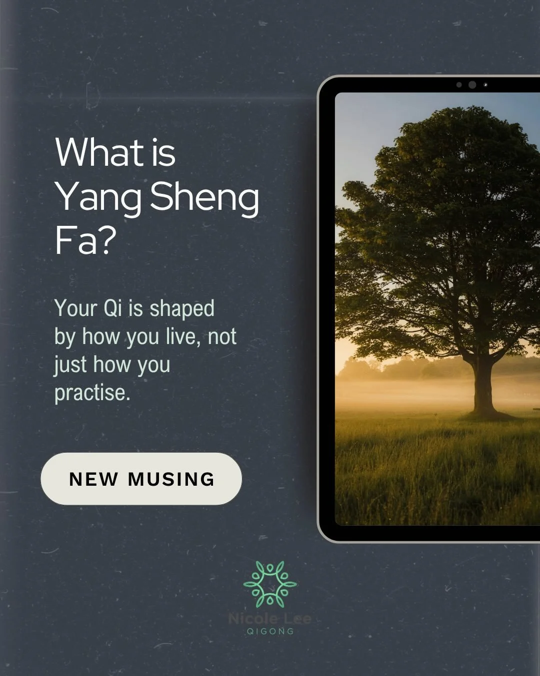 If you want real energy skill, Qigong has to move beyond the forms.

The forms matter. But they&rsquo;re not the end point. If your practice stays there, it becomes something you do&hellip; and then step away from.

Yang Sheng Fa is part of how this 