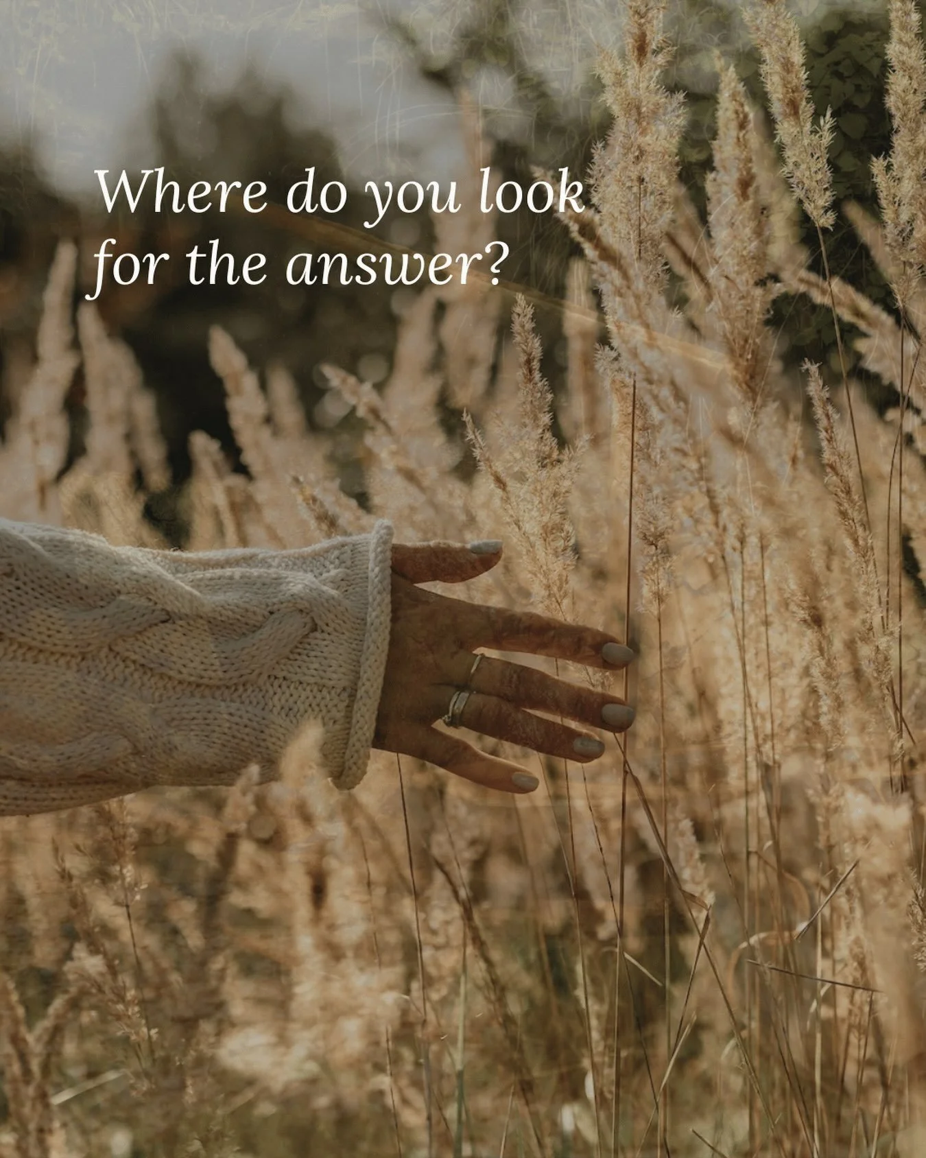 When we begin something new, we naturally look outside ourselves. We look to the teacher. The book. The tradition. The person who has been practising longer than we have. We want to know if we&rsquo;re doing it right. What we&rsquo;re supposed to fee