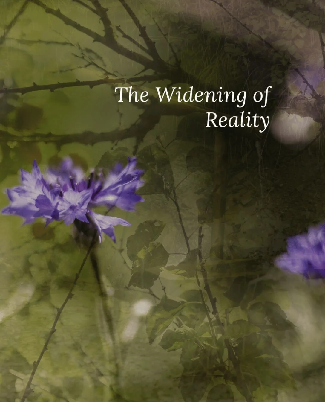 We don&rsquo;t know what we don&rsquo;t yet perceive.

One of the things that begins to change through Qigong is our capacity to notice. Something that once seemed indistinct can begin to reveal qualities we couldn&rsquo;t perceive before.

Once we e