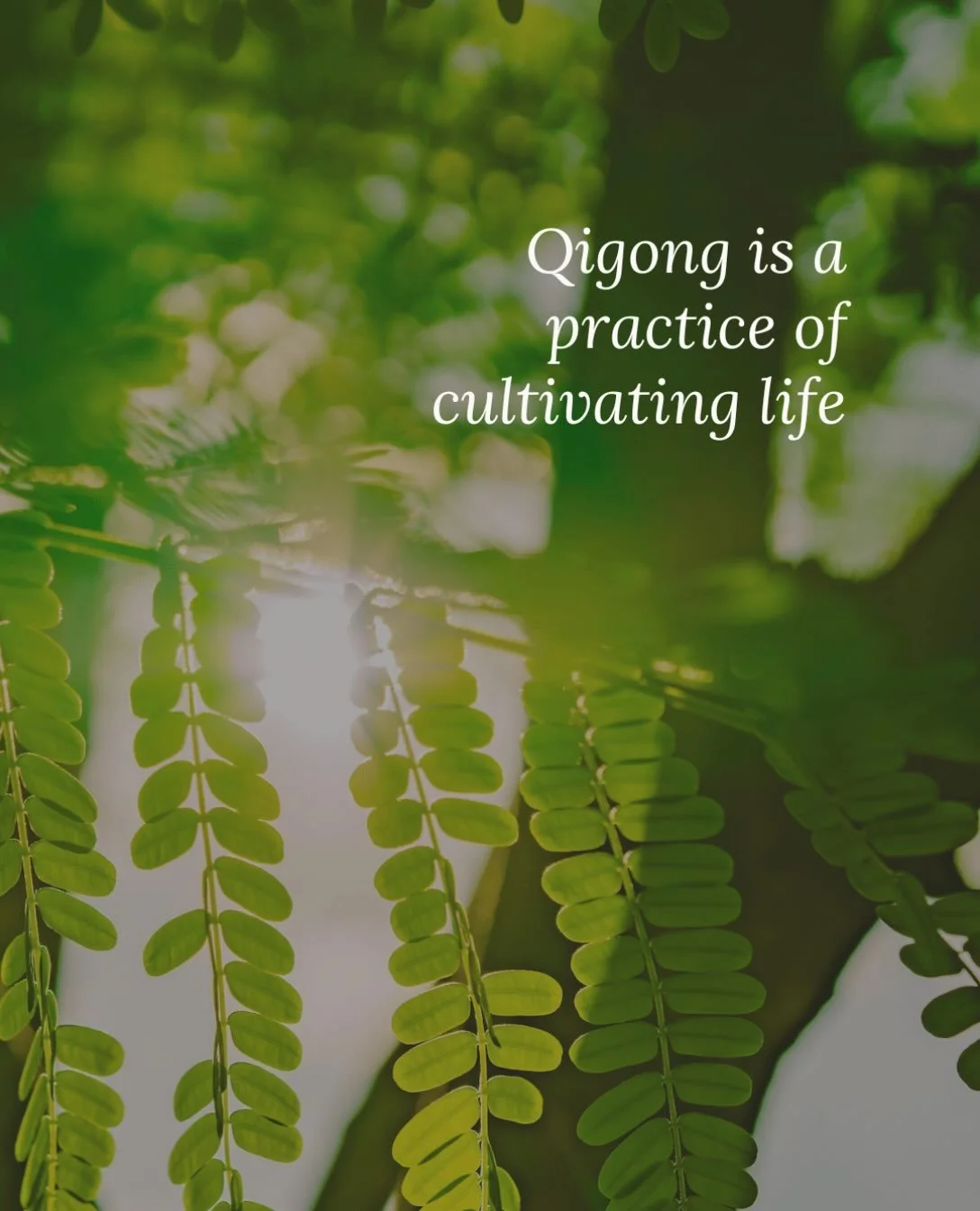 A lot of people seek out Qigong as a way to feel better or to improve their health. It certainly can bring those benefits. 

Ultimately though, Qigong is a spiritual practice.
Through devotion to practice and cultivation of the principles of nurturin