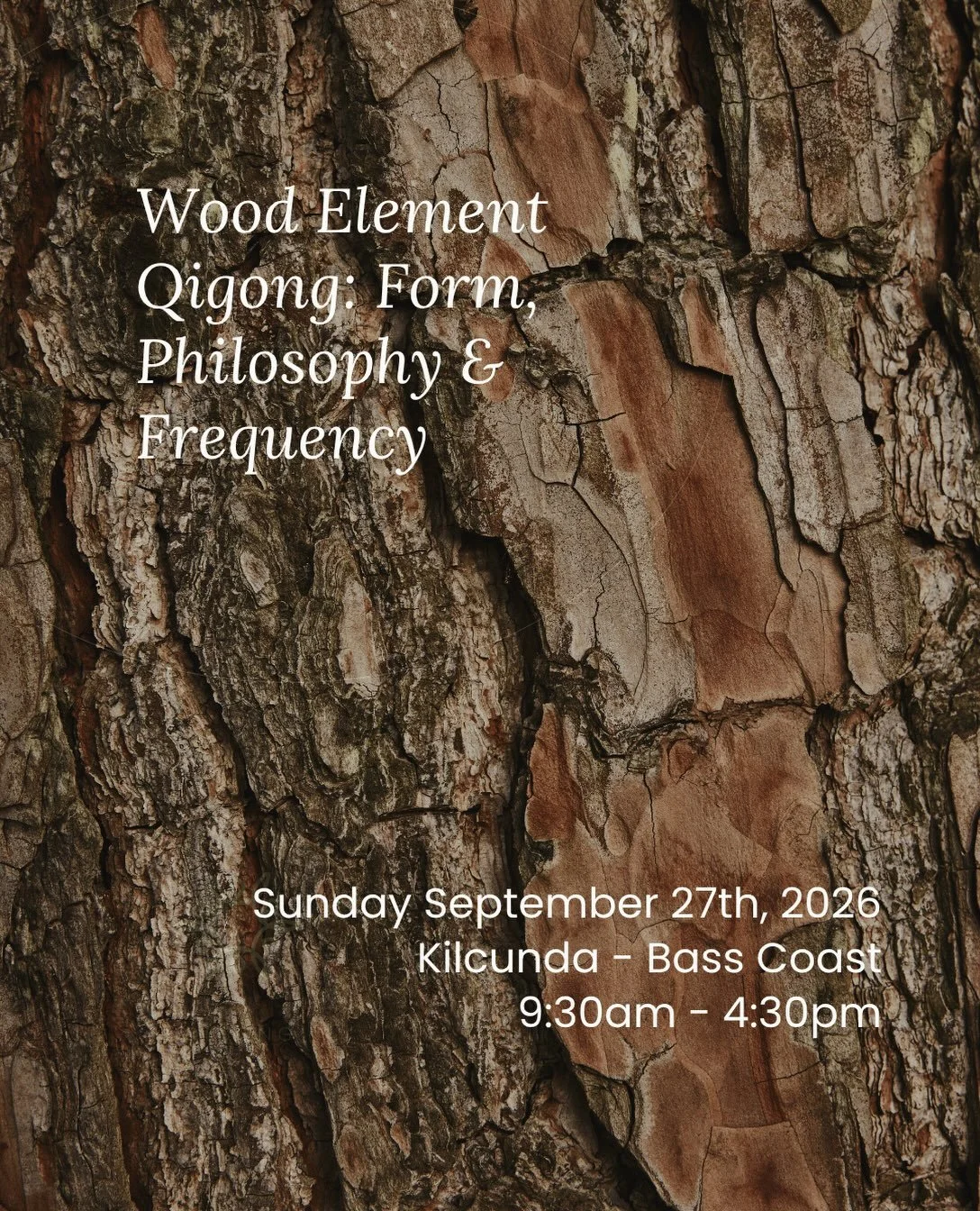 With my Wood Element Qigong workshop coming up at the end of this month, I&rsquo;ve been thinking about Wood and Air.

Not in the typical way, like Wood relates to the season of Spring &mdash; but energetically.

Air is light, mobile, spacious.

Wood