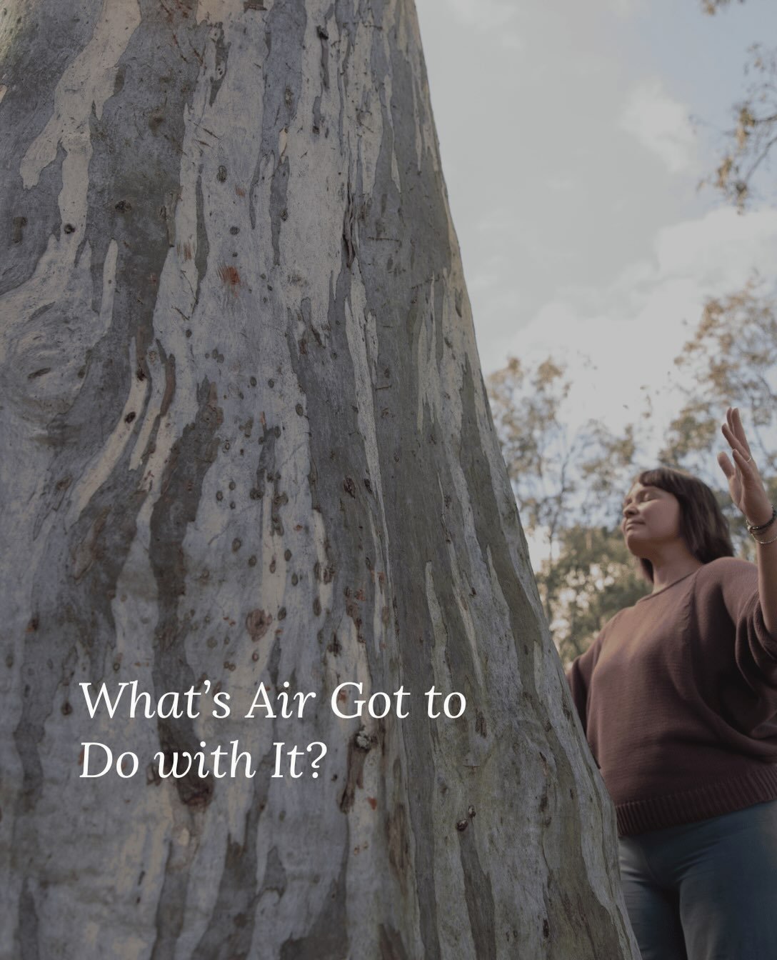 What&rsquo;s Air Got to Do with It?

In the lead-up to my Wood Element Qigong workshop this Sunday, the concepts of the Four Elements and the Five Elements have been at the forefront for me.

I used to find the two systems a bit confusing. Earth, Wat