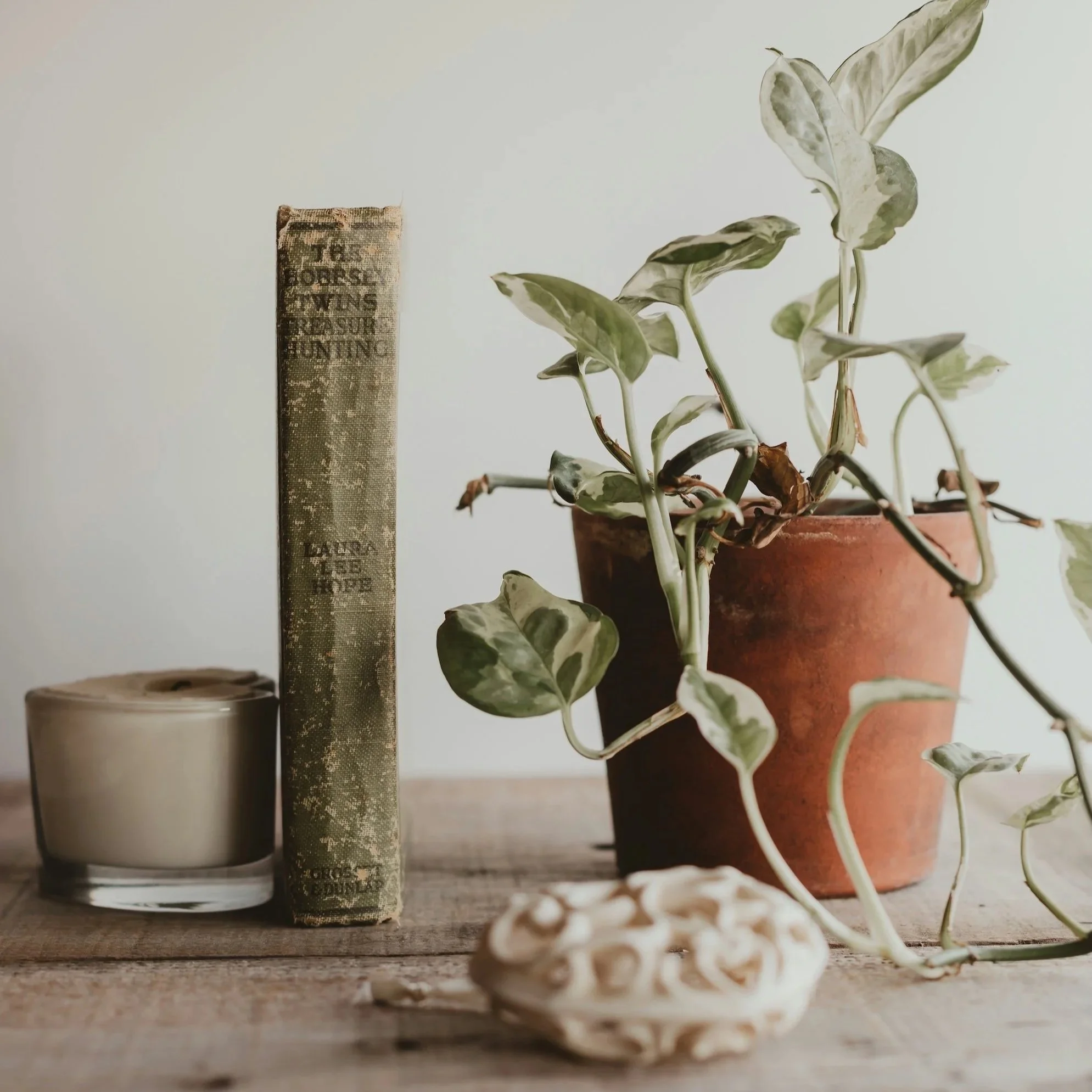 Potted plant, candle and book on a wooden table creating a calm, natural practice space