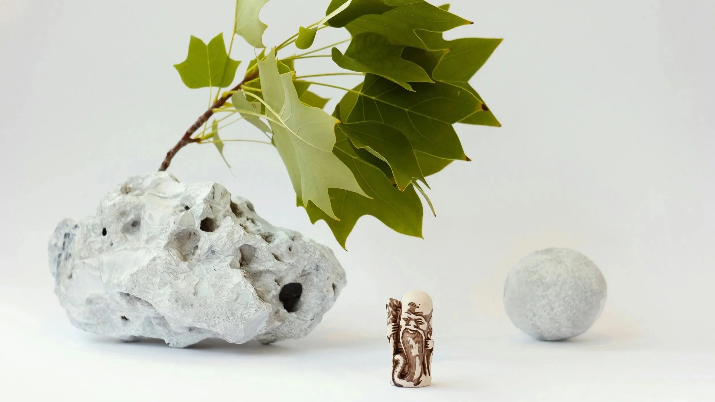 Still life representing Nurturing Longevity Qigong and Taoist longevity cultivation, with green leaves, stone and Daoist figure.