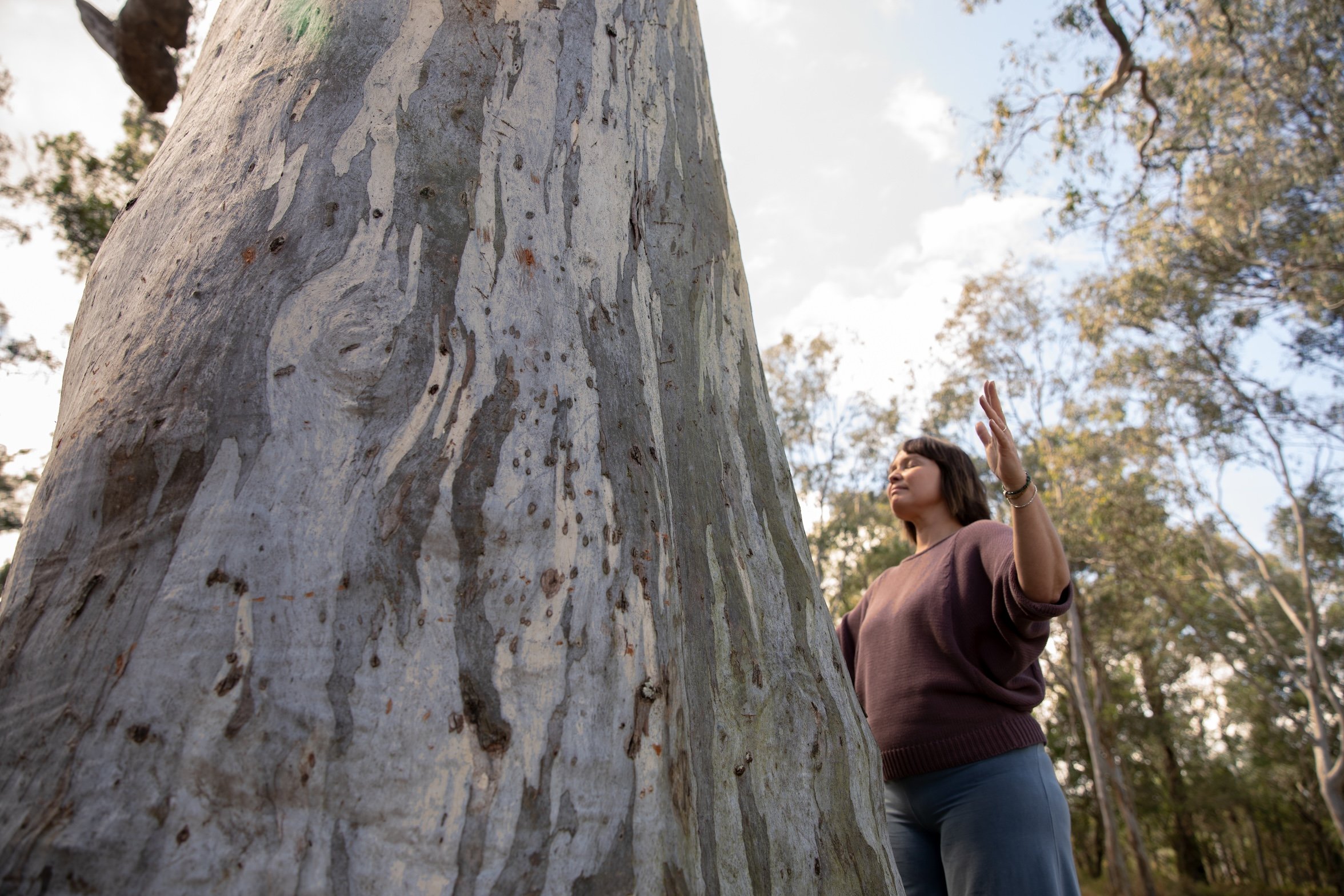 Nicole Lee practising Qigong beside a large eucalyptus tree in a natural Australian bush setting, with one hand raised and her eyes closed.