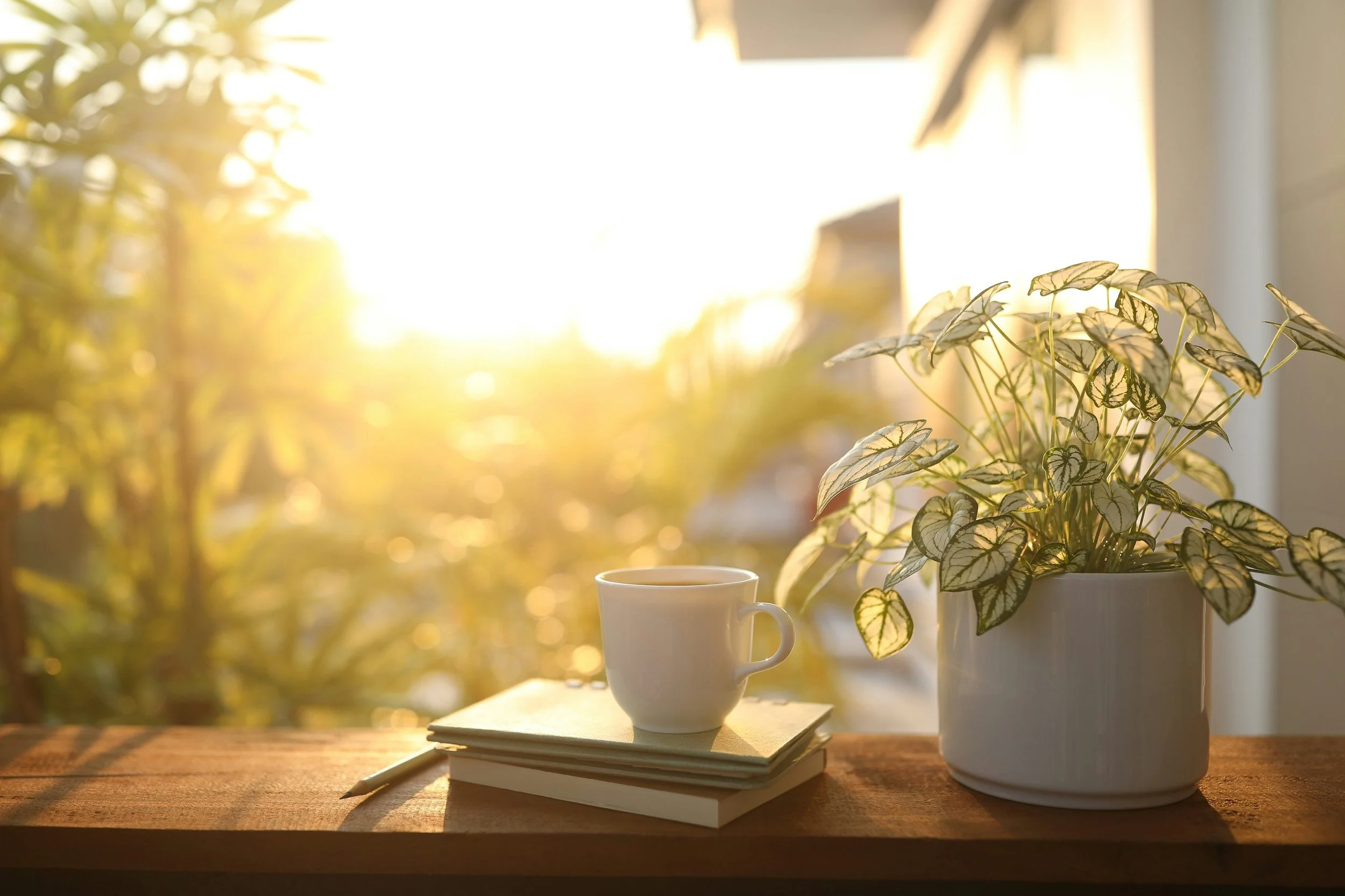 A notebook, cup of tea and morning sunlight creating a quiet space for reflection, daily practice and learning through experience.