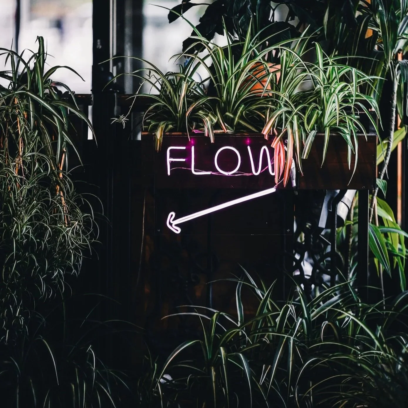 Yi Dao, Qi Dao: The Role of Intent in Qigong Practice