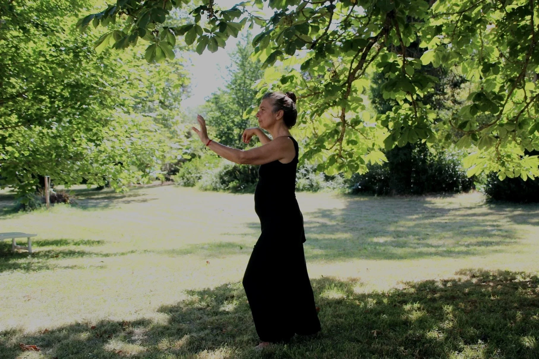 Qigong standing practice outdoors with calm posture and focused attention
