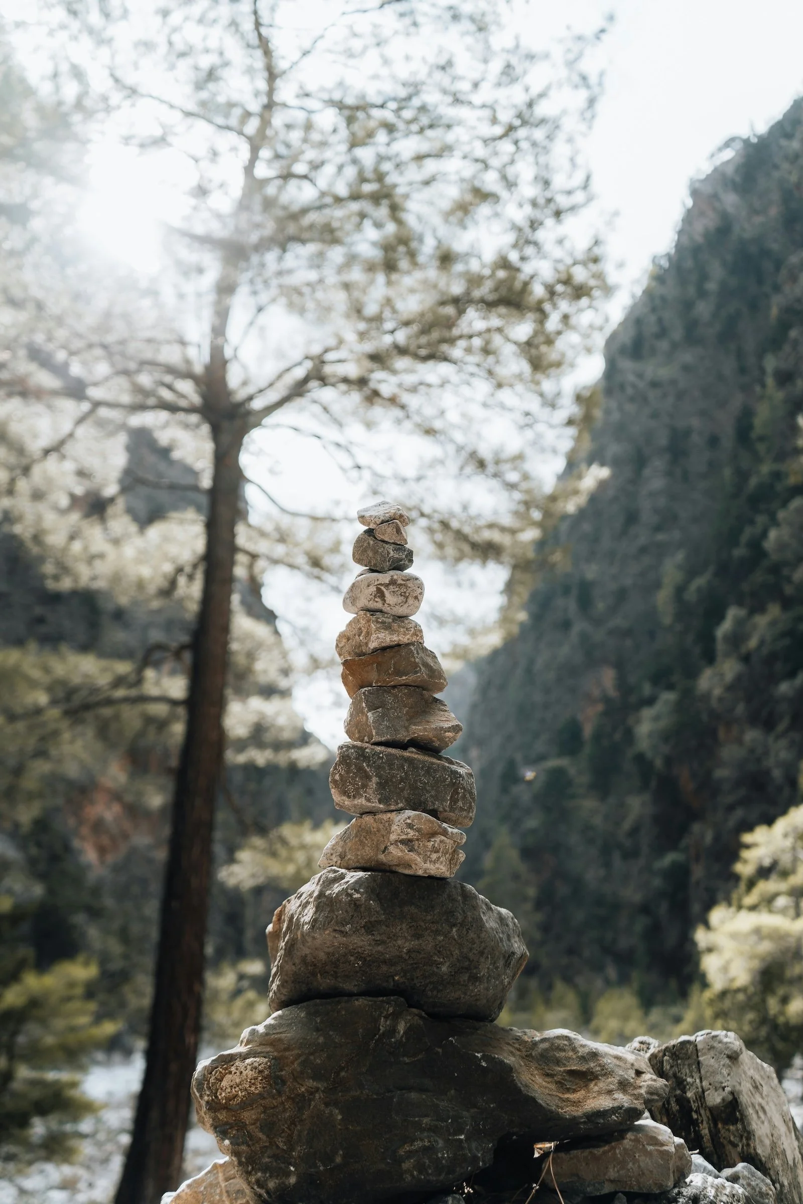 Stacked natural stones balanced on a rocky landscape with trees and mountains in the background.