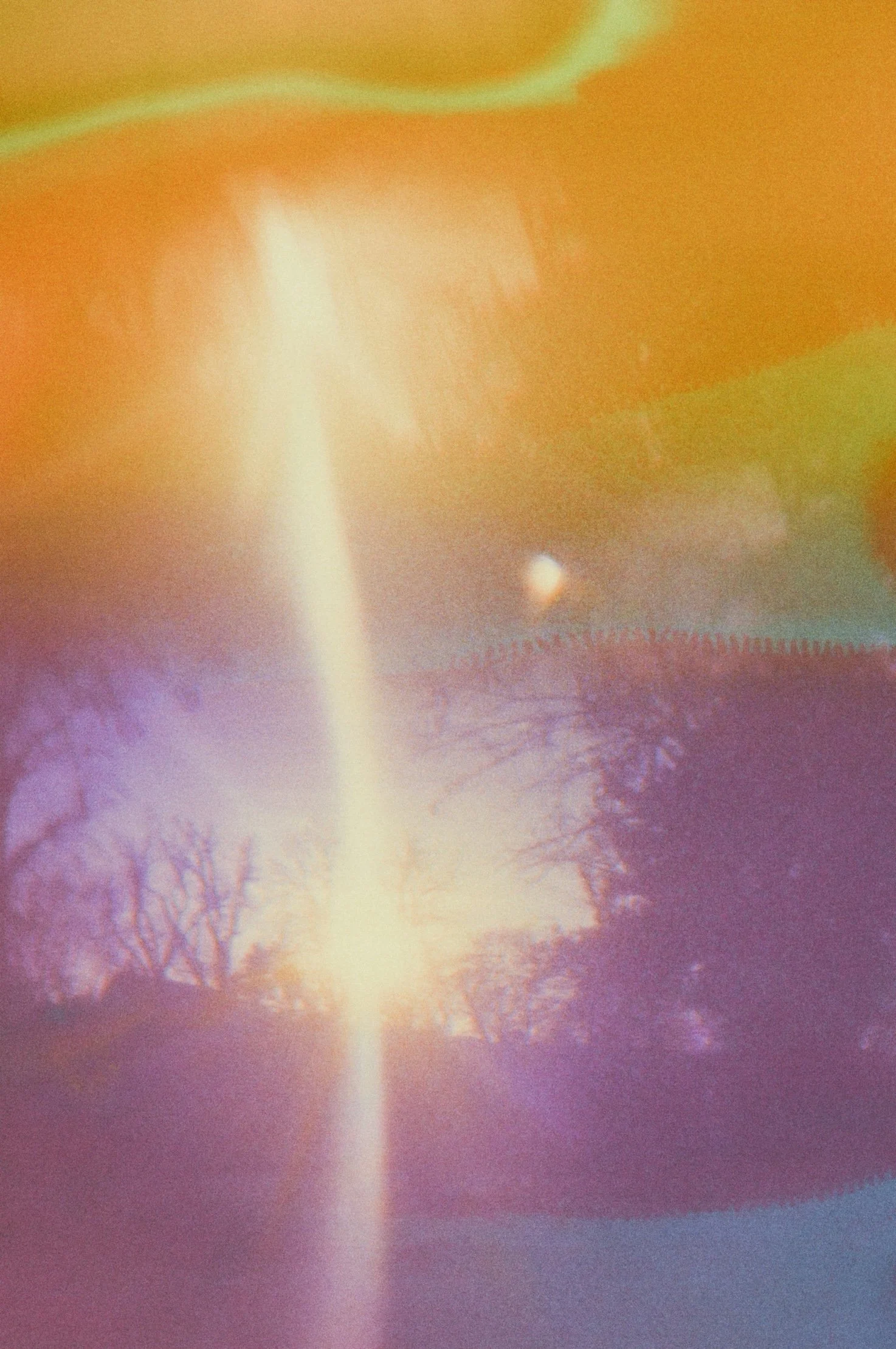 Sunlight flares across a hazy landscape, silhouetting bare trees in warm orange, purple and soft blue tones.