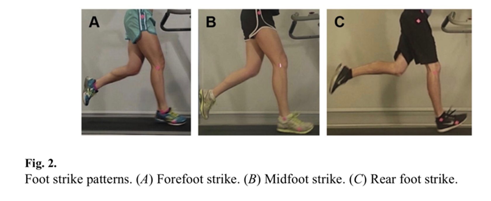 Forskellige måder løbere lander på. A. Forfod. B. Midtfod. C. Hæl. Kilde: [www.jannaliphysio.com.au](https://www.jannaliphysio.com.au/blog/running-bio)