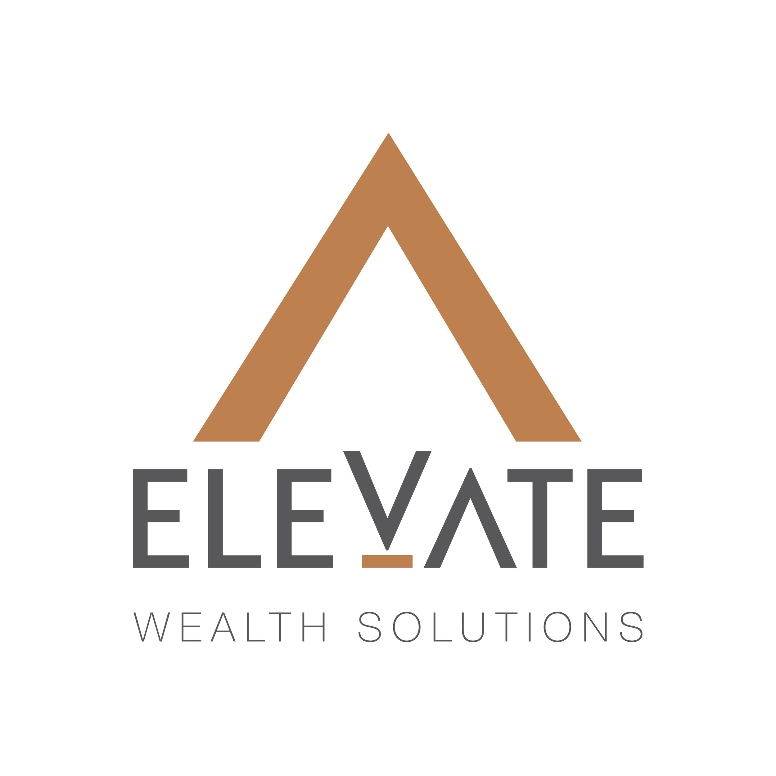 Logo for a company called 'Elevate,' featuring a stylized brown mountain peak icon with the words 'Wealth Solutions' underneath.
