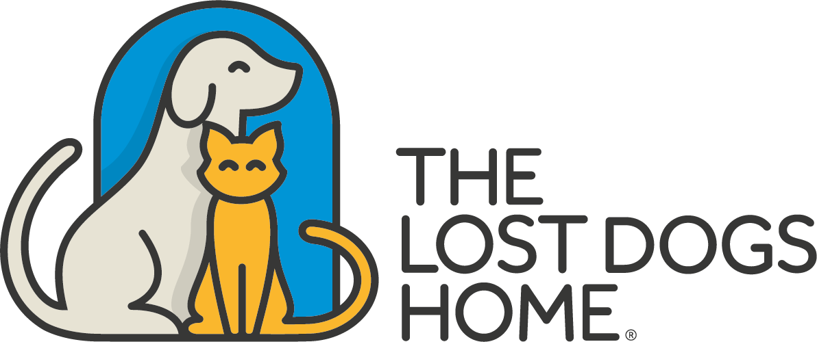 Lost Dogs Home.png