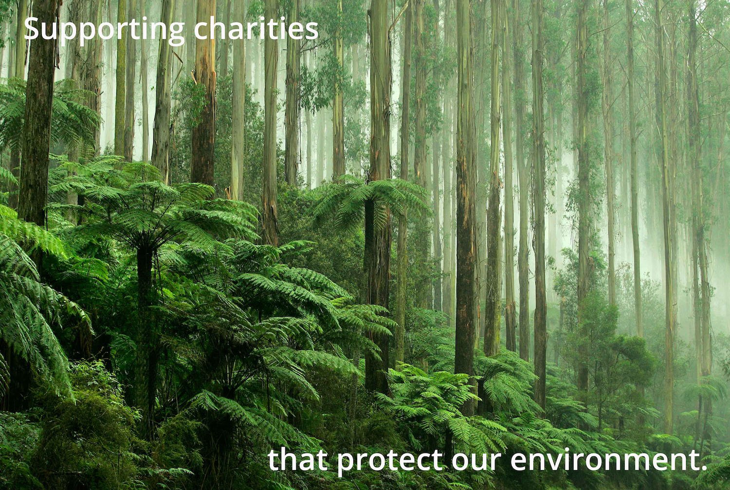 Supporting charities that protect our environment