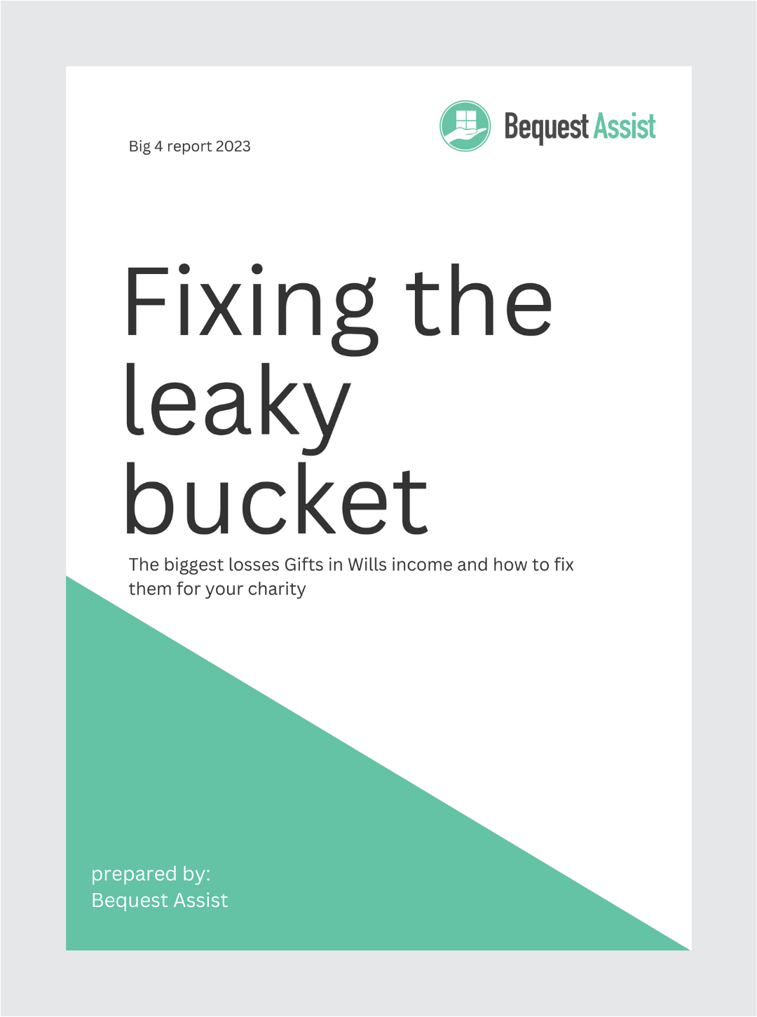 Leaky bucket report download — Bequest Assist