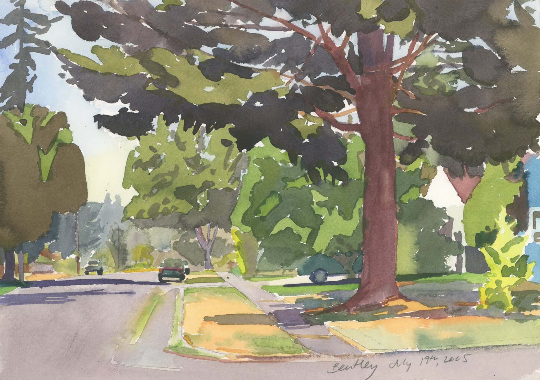 Tree on 137th Street in Haller Lake, Watercolor, 10 x 14", July 19 2005
