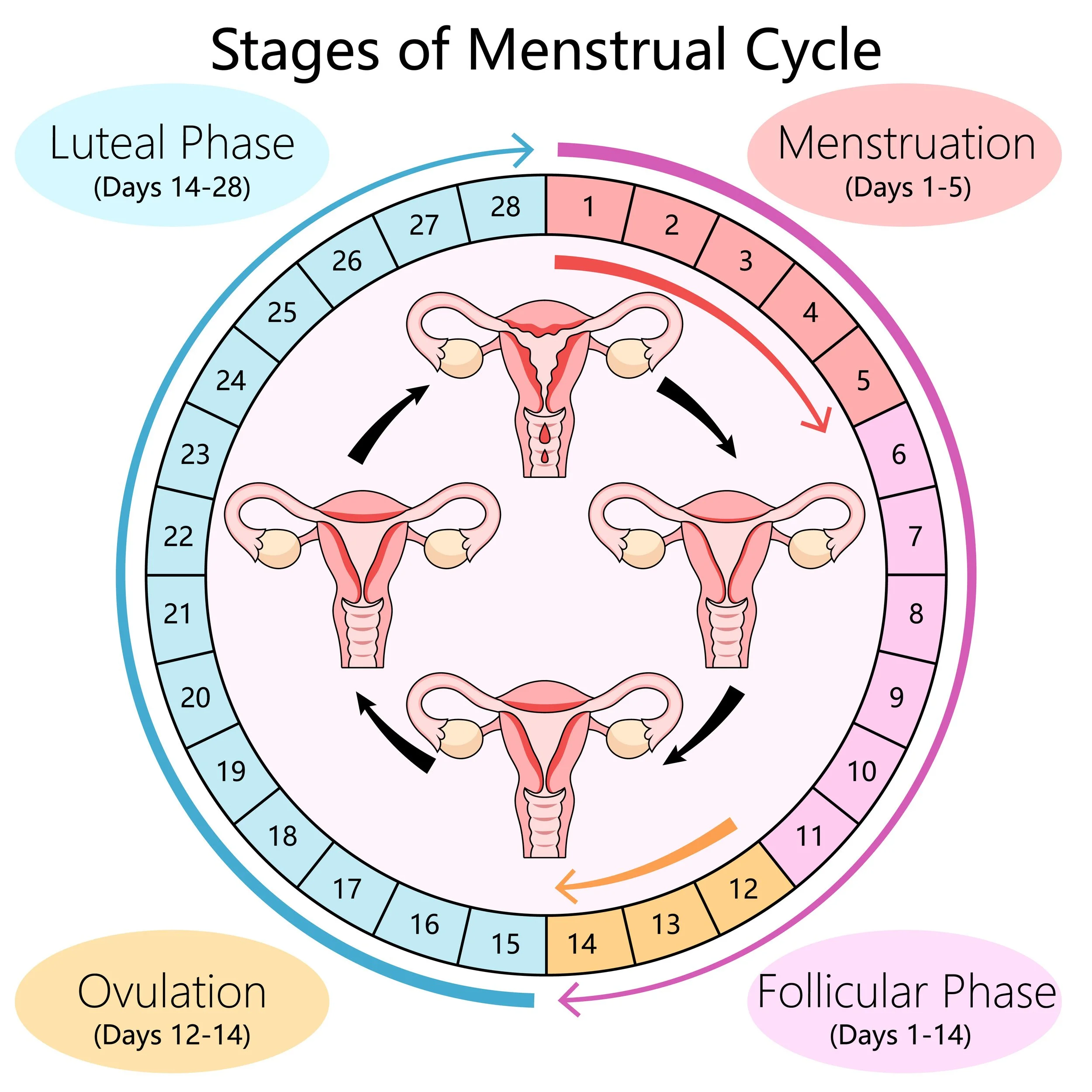 Exclusive: A Husband’s Crash Course in Natural Family Planning (NFP)