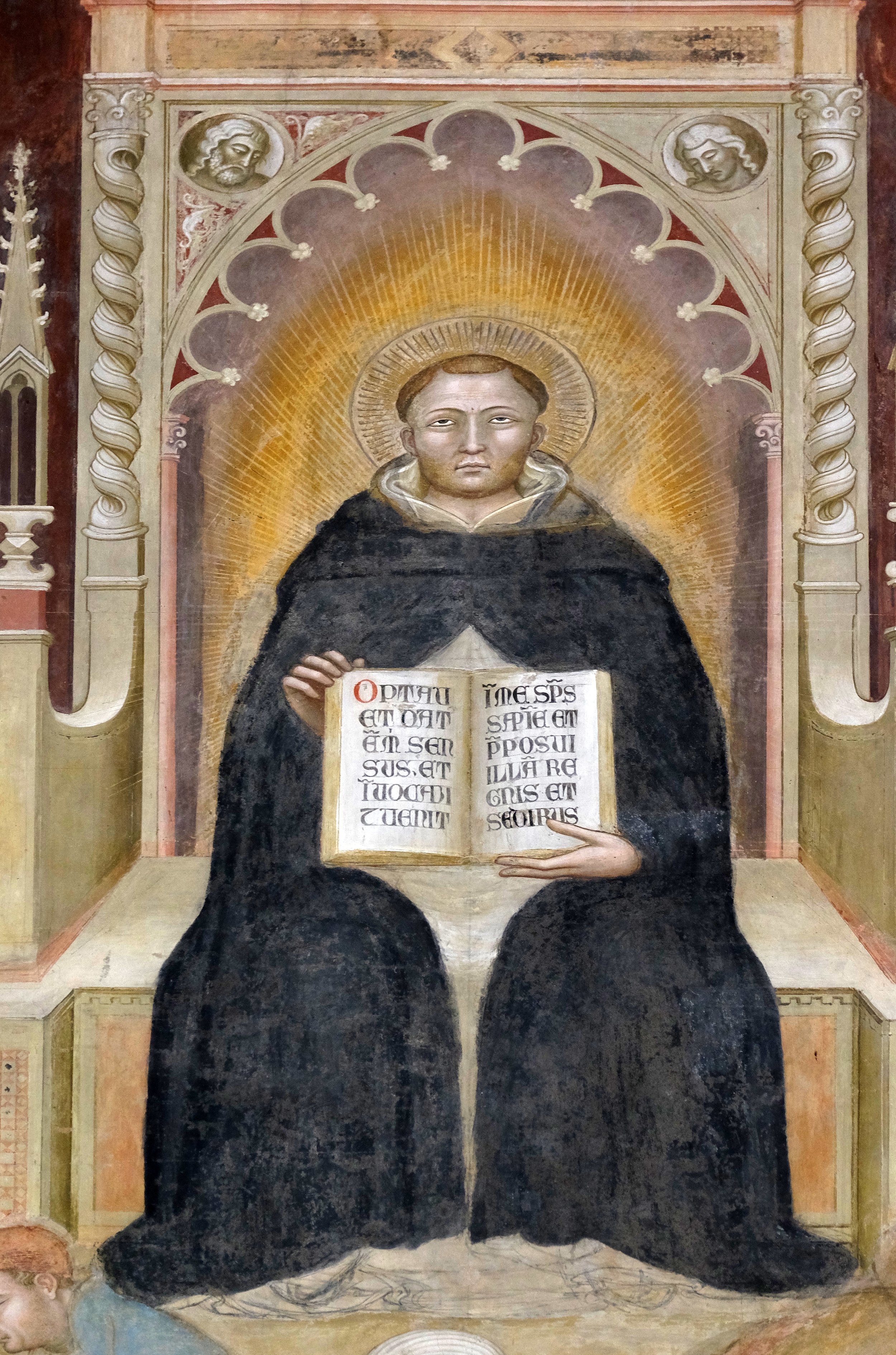 Did St. Thomas Aquinas Teach Against Oral Stimulation in the Summa Theologiae? Taking a Closer Look