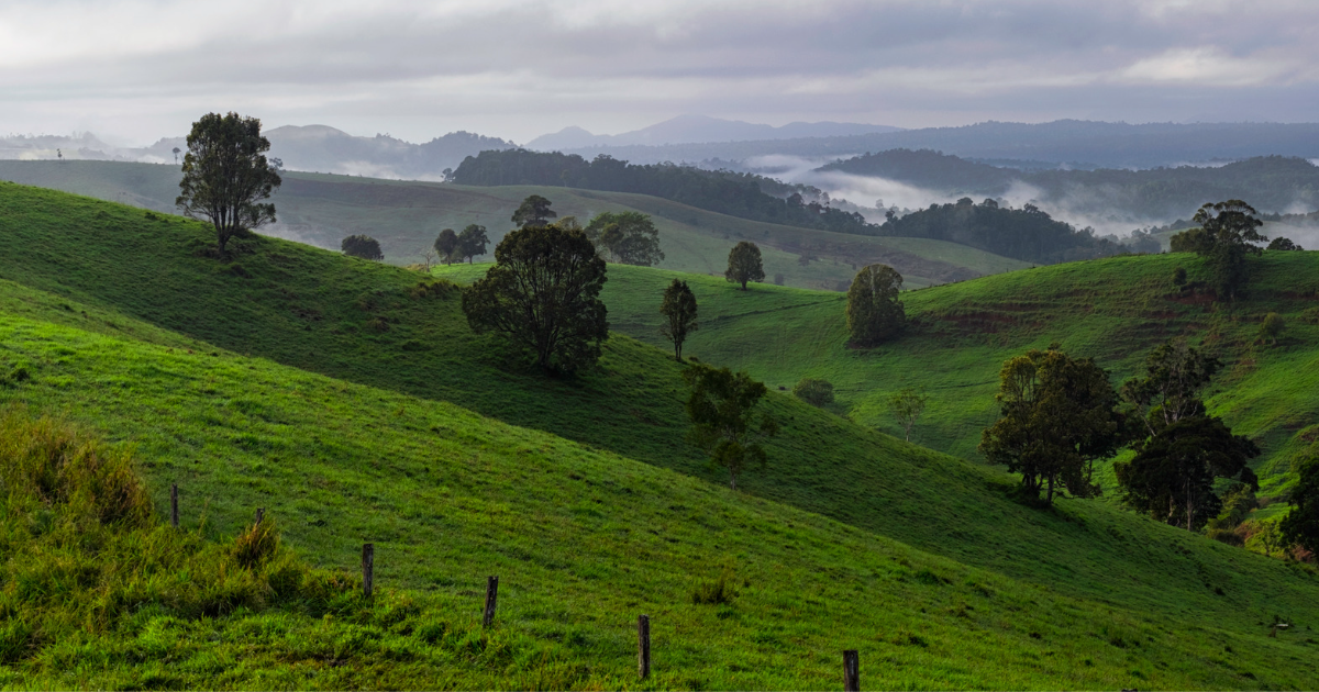 My Town! Ravenshoe — Country Network Australia