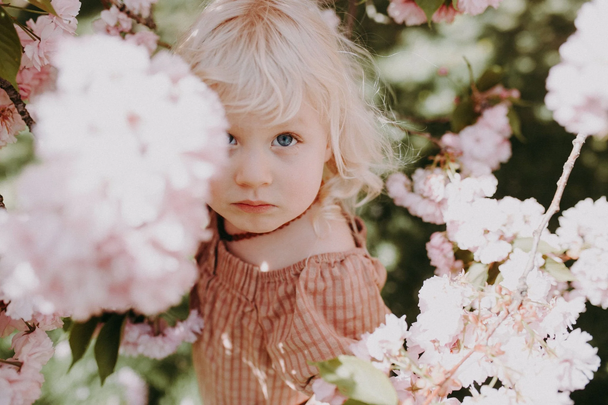 A small child standing in the middle of pink flowers 