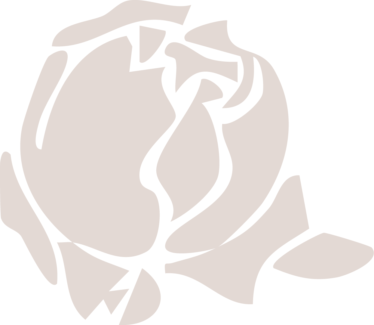 Line drawing of a rose with detailed petals and leaves.