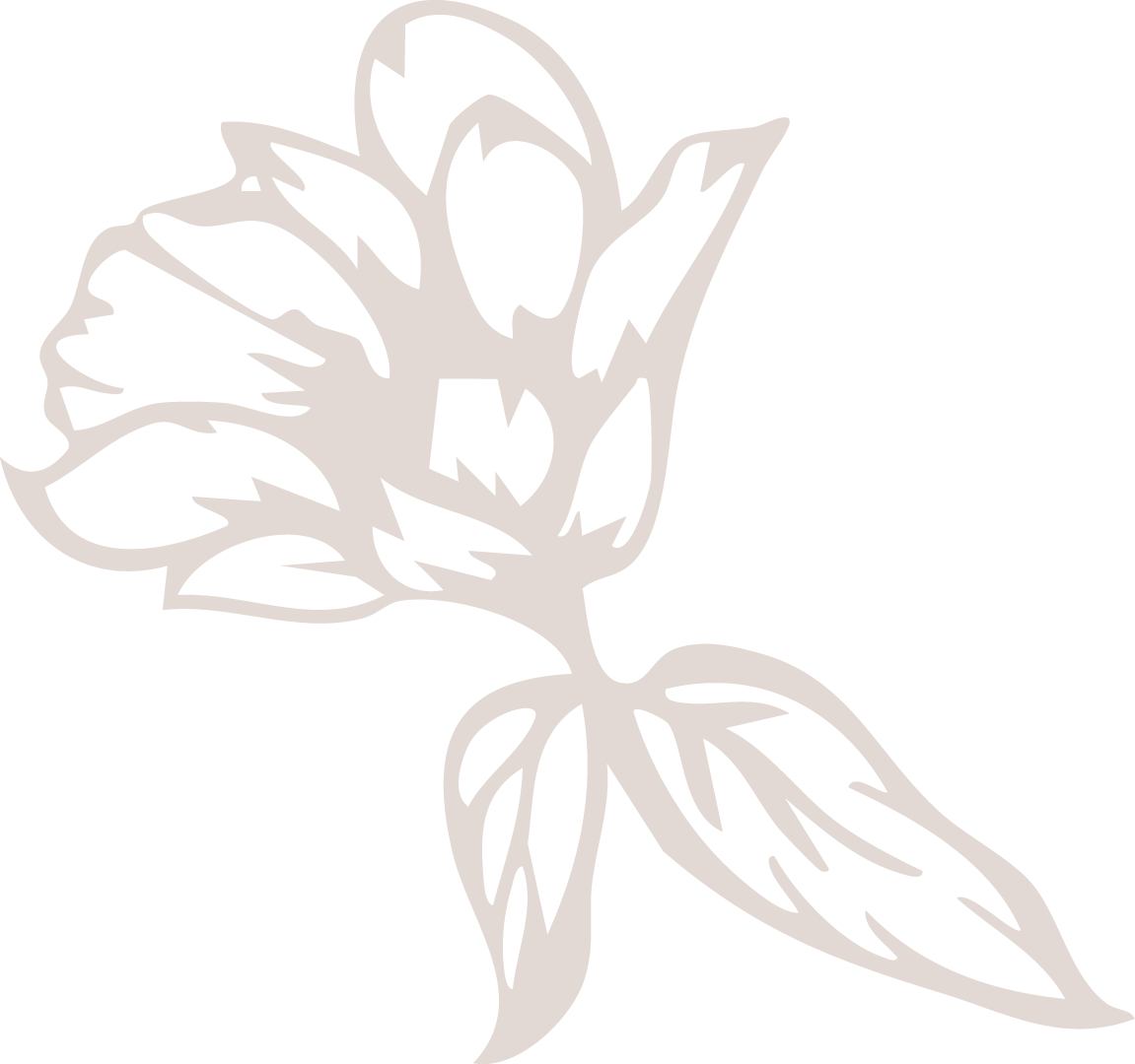 Outline of a flowering plant with leaves and a single bloom.