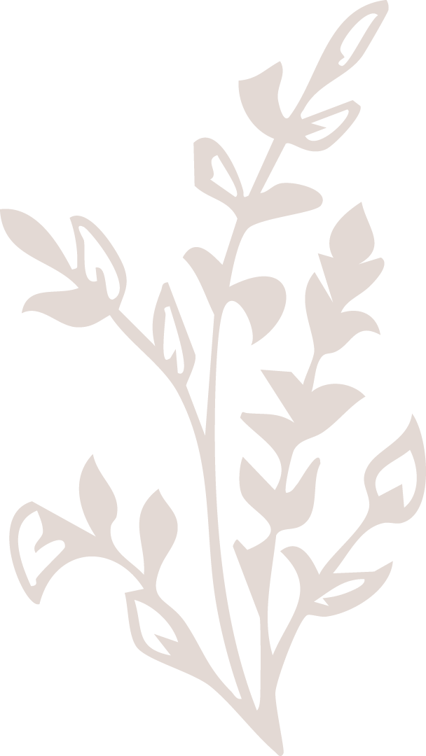 Silhouette of a leafy plant against a black background.