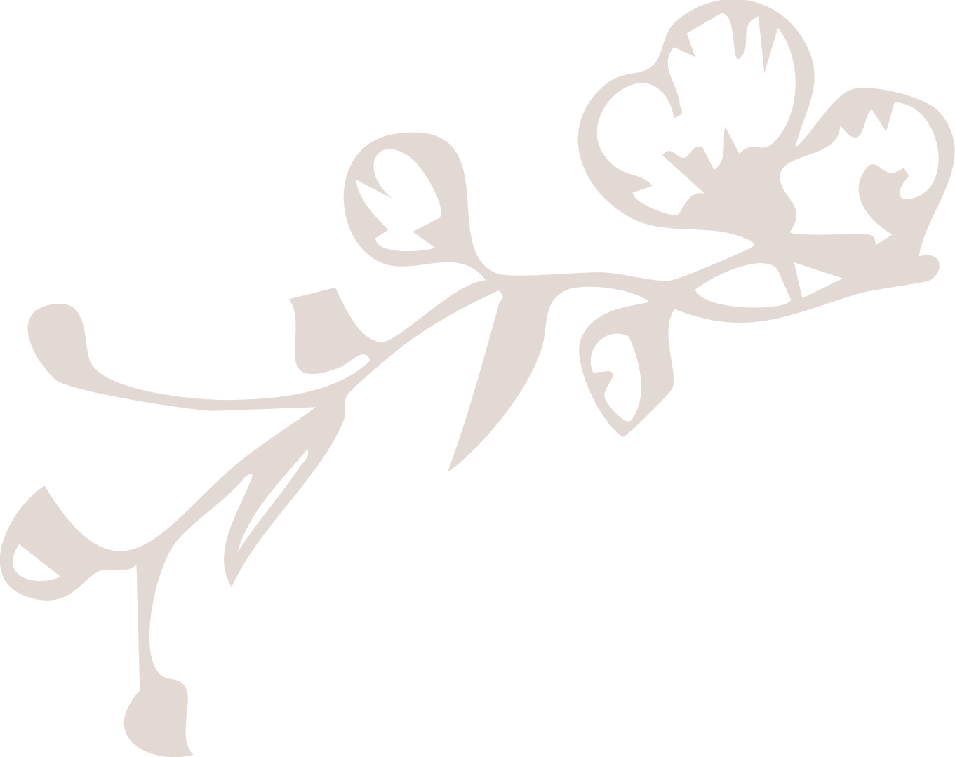A stylized, monochrome illustration of a flower with broad, lobed petals and a thin, winding stem.