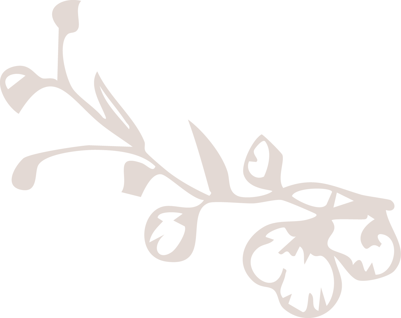 Silhouette of a flowering plant with large leaves and five-petaled flowers on a black background.