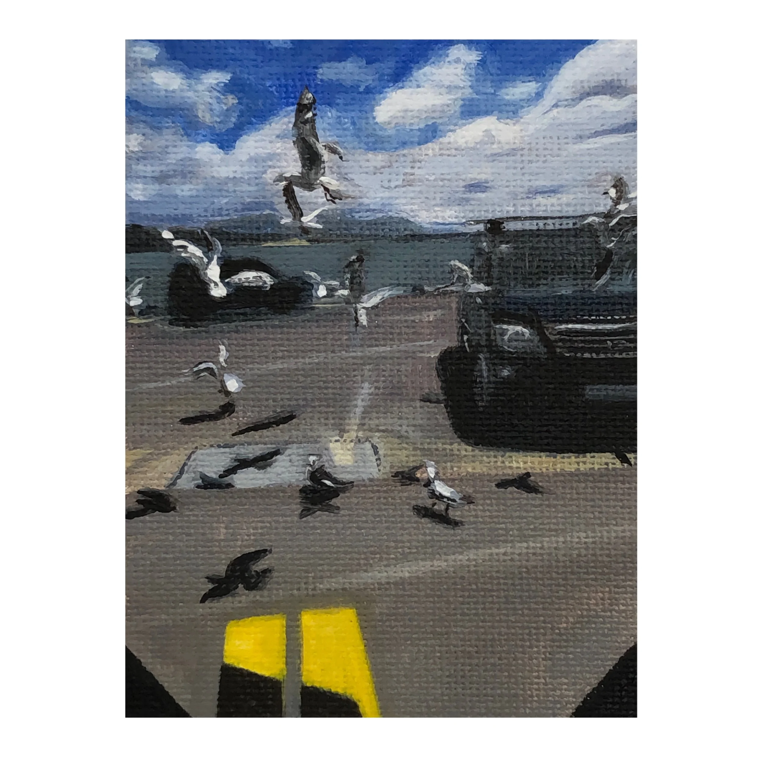 Seagulls outside Opo Takeaways-Opononi-full.jpg