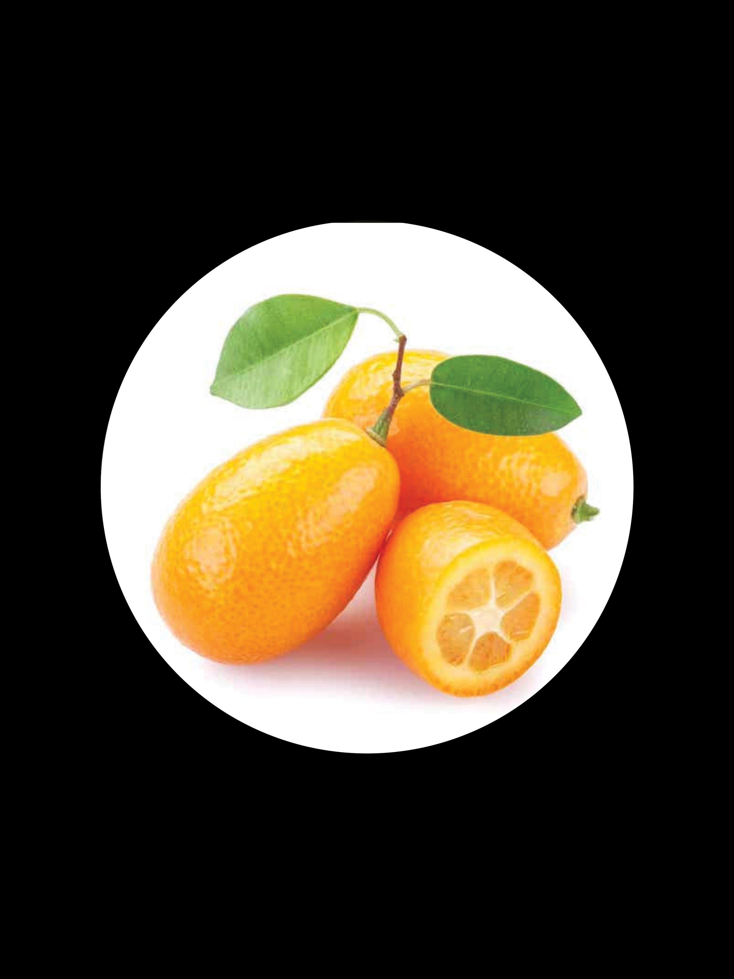 KUMQUAT ESSENTIAL OIL