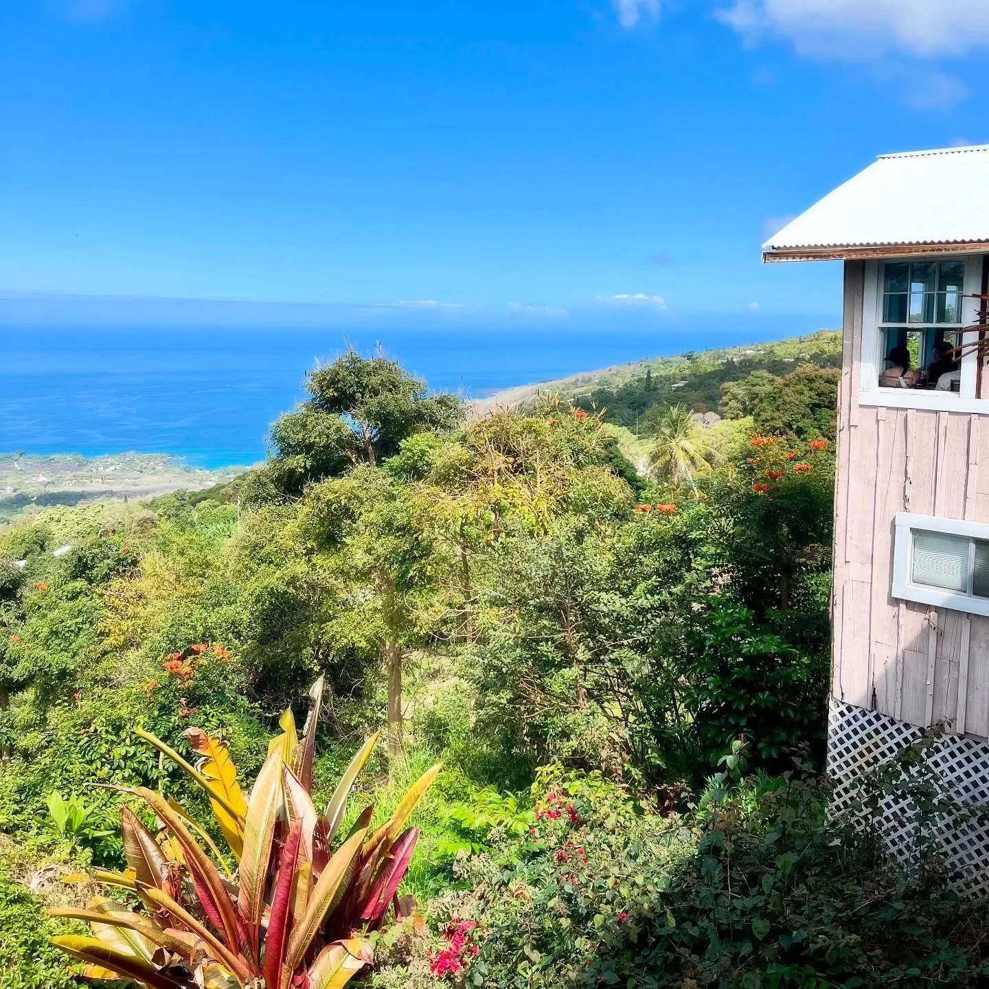 Breakfast with a view 😍
.
.
.
.
.
.
#breakfast #food #foodie #lunch #foodporn #instafood #healthyfood #brunch #dinner #coffee #yummy #foodphotography #delicious #foodblogger #foodstagram #homemade #healthy #foodlover #breakfastideas #instagood #hawa