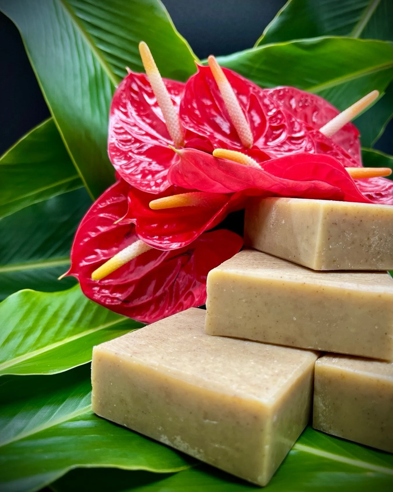 Experience the magic of Hawaii in every wash with Kahuna Products Hawaii handcrafted soaps. Made with natural island ingredients and aloha spirit, our soaps leave your skin soft, fresh, and gently scented with tropical bliss 🌴🌺
www.KahunaProducts.c