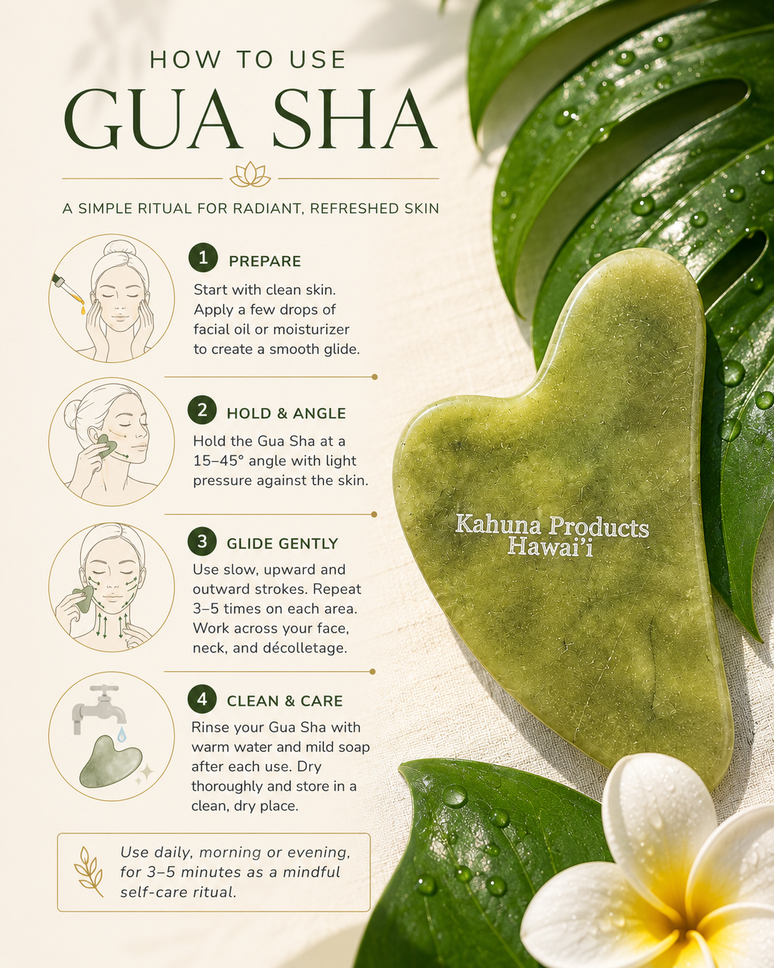 Gua Sha 3.png