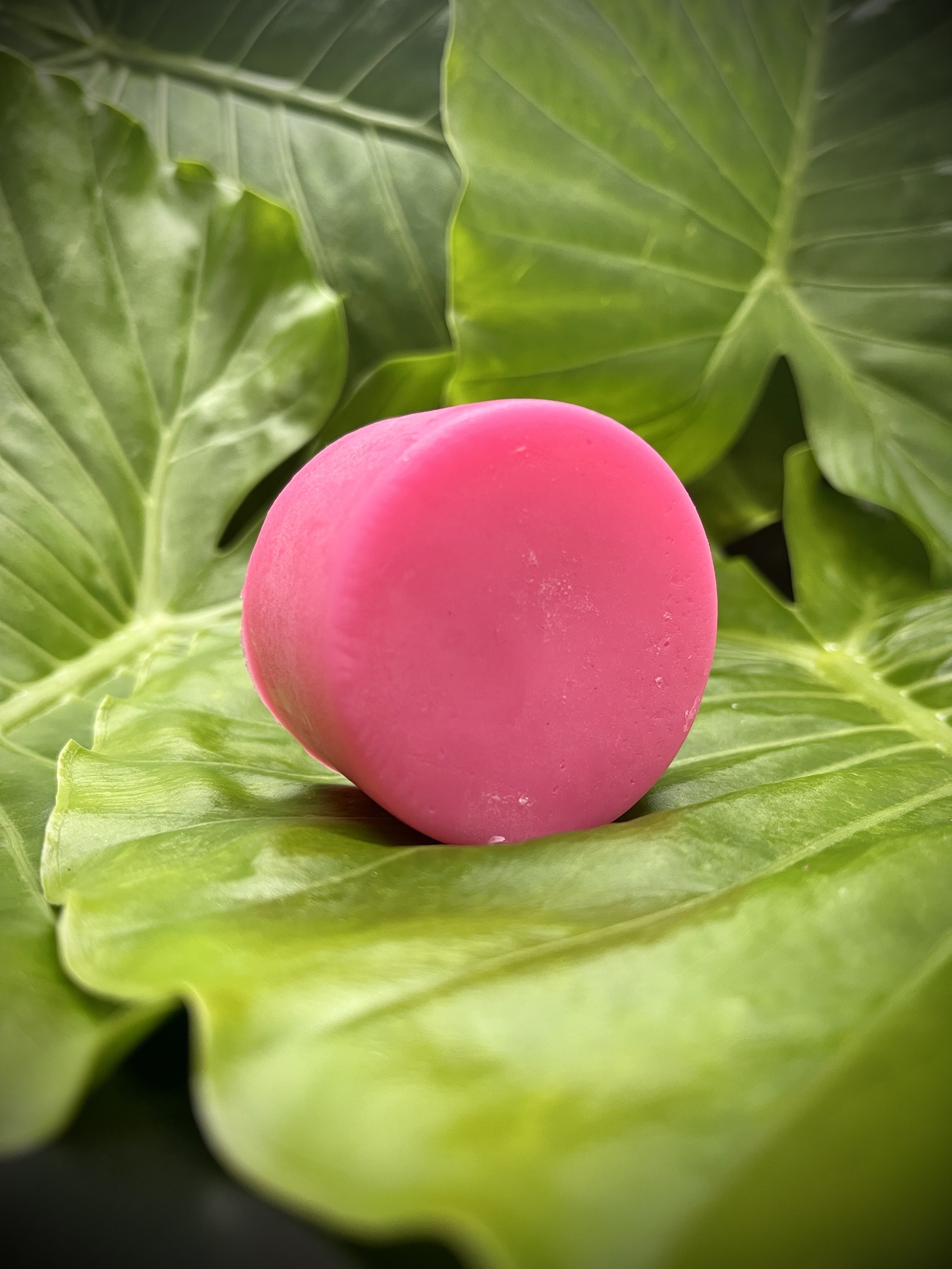 Conditioner Bar Feb 24 2025_6297.jpg
