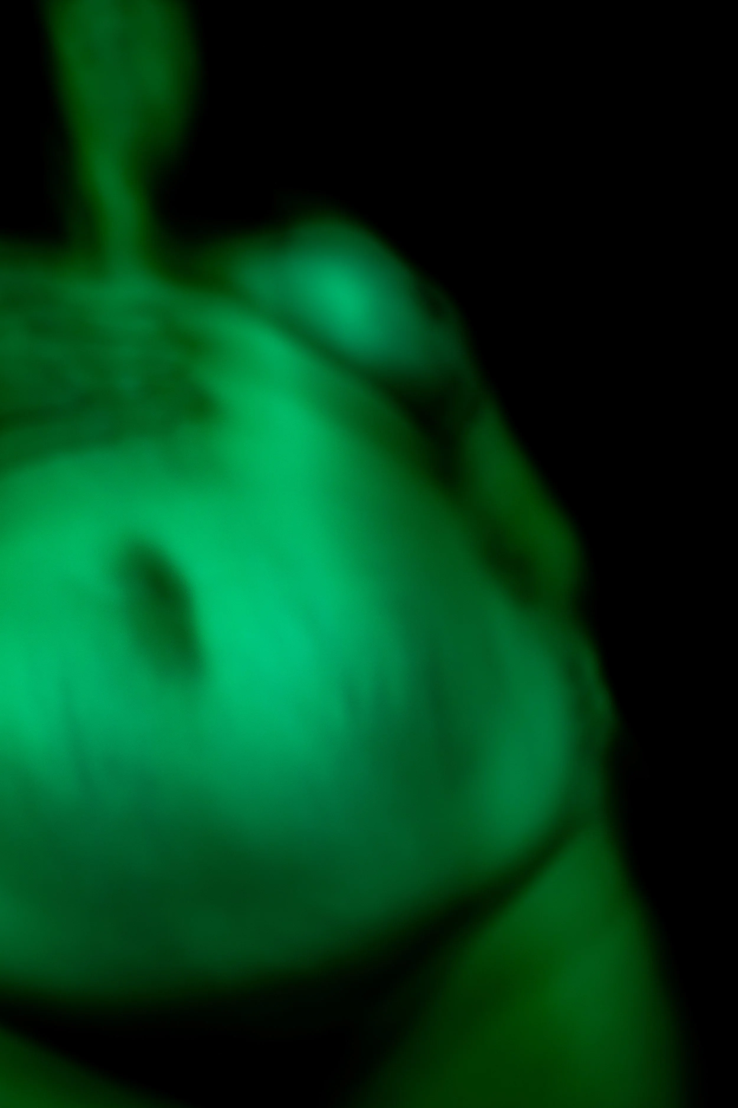 20240624_In the Dark_Birth_Final Edit_LR-23.jpg