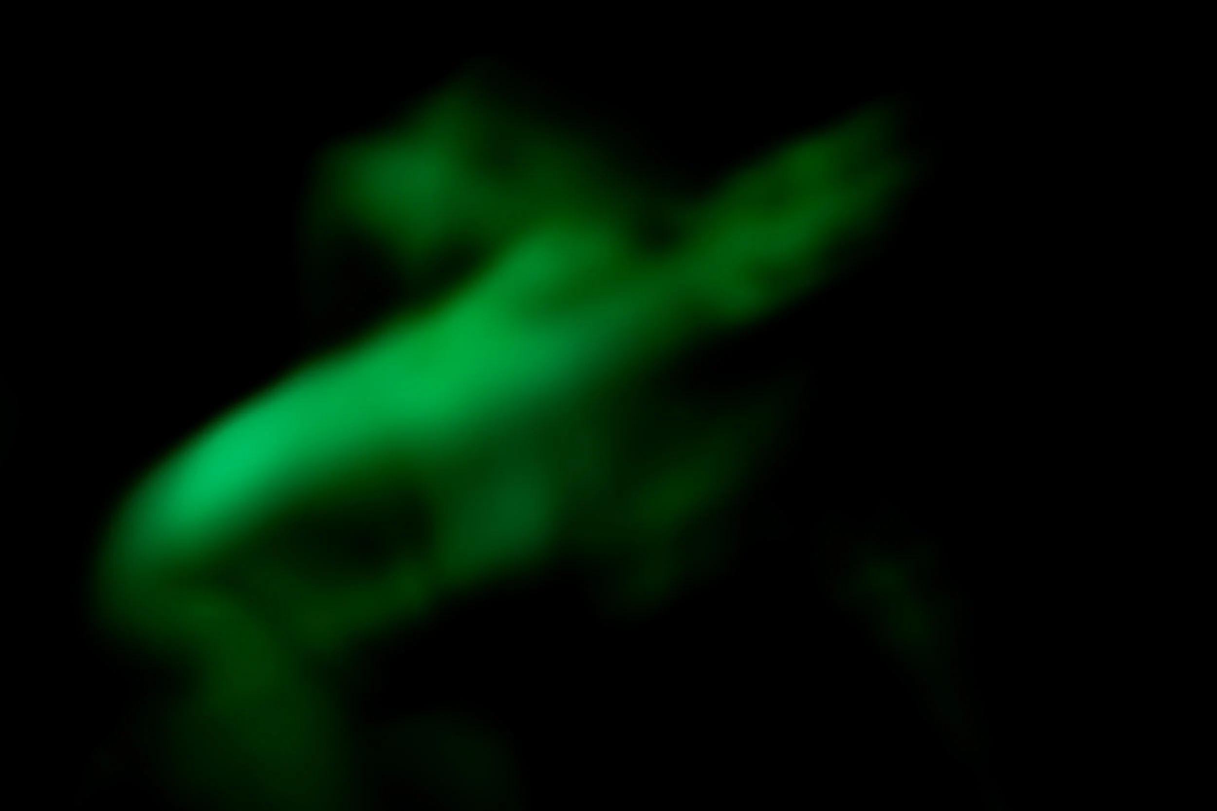 20240624_In the Dark_Birth_Final Edit_LR-5.jpg