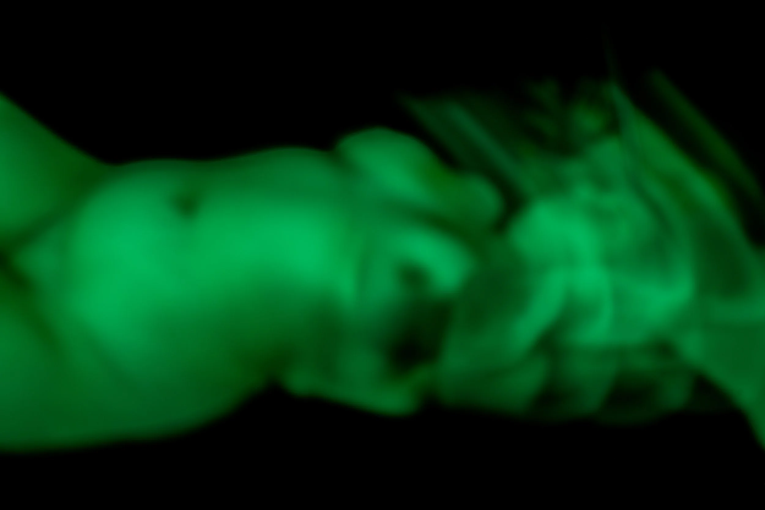 20240624_In the Dark_Birth_Final Edit_LR-2.jpg