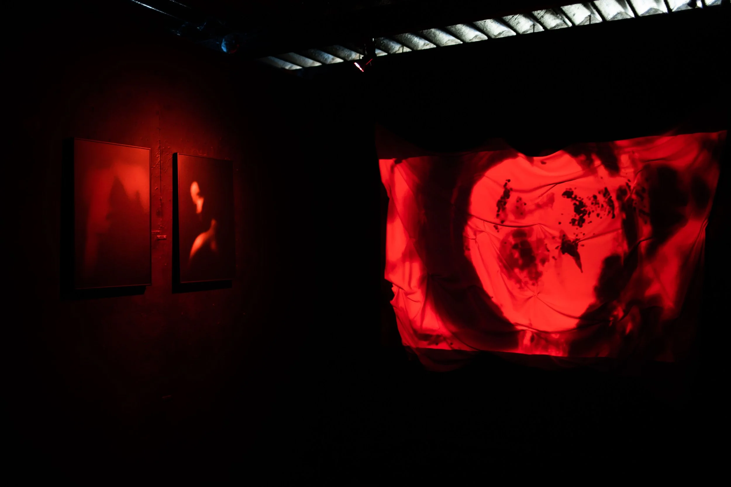 20221020_In the Dark Install Shots_PW-8.jpg