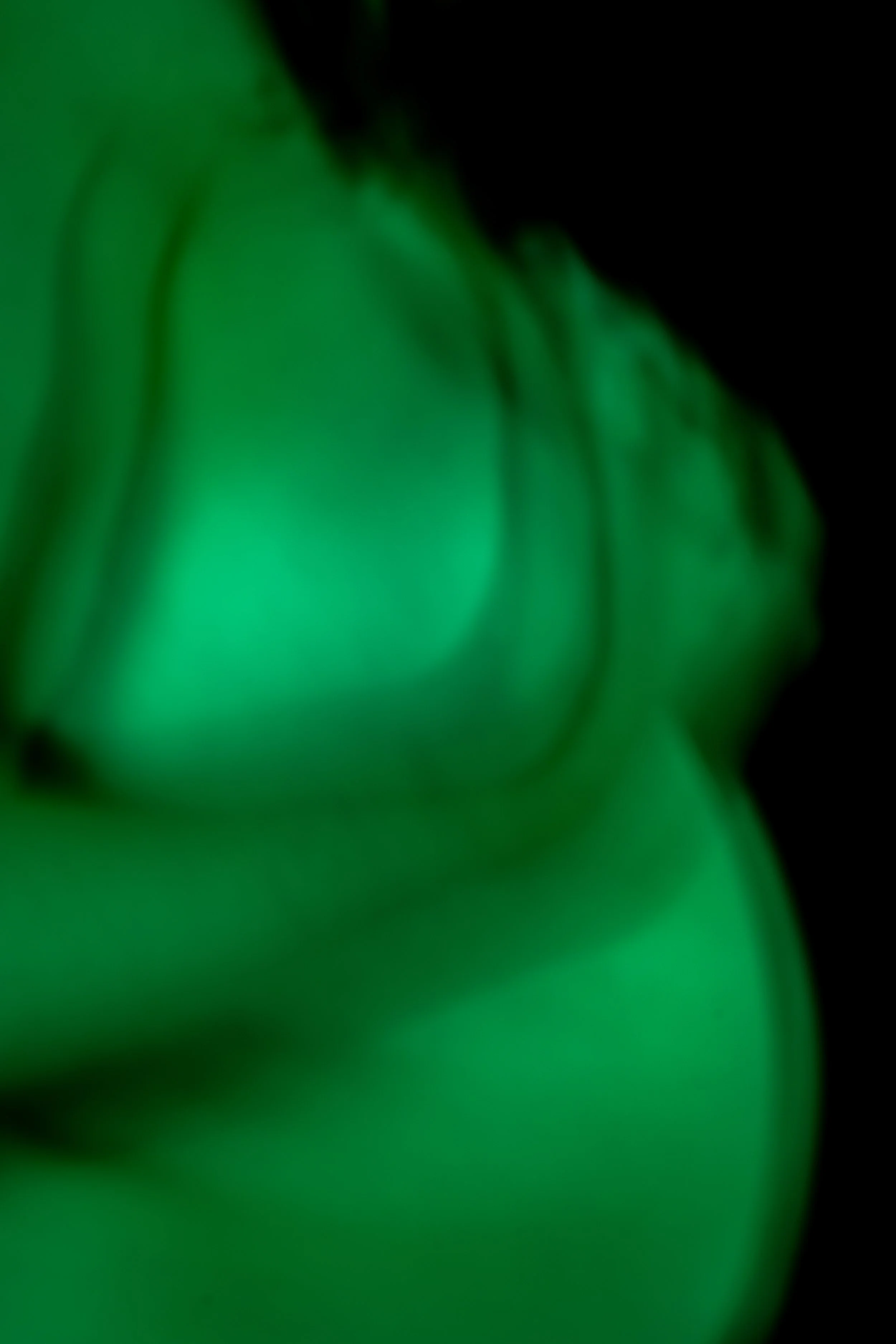 20240624_In the Dark_Birth_Final Edit_LR-22.jpg