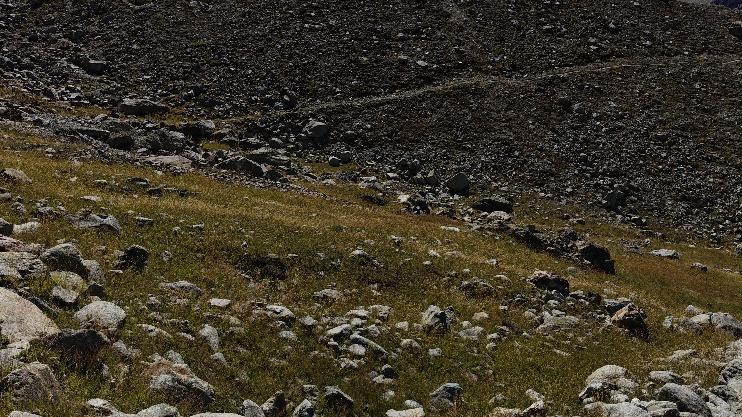 IMG20260901134114.jpg