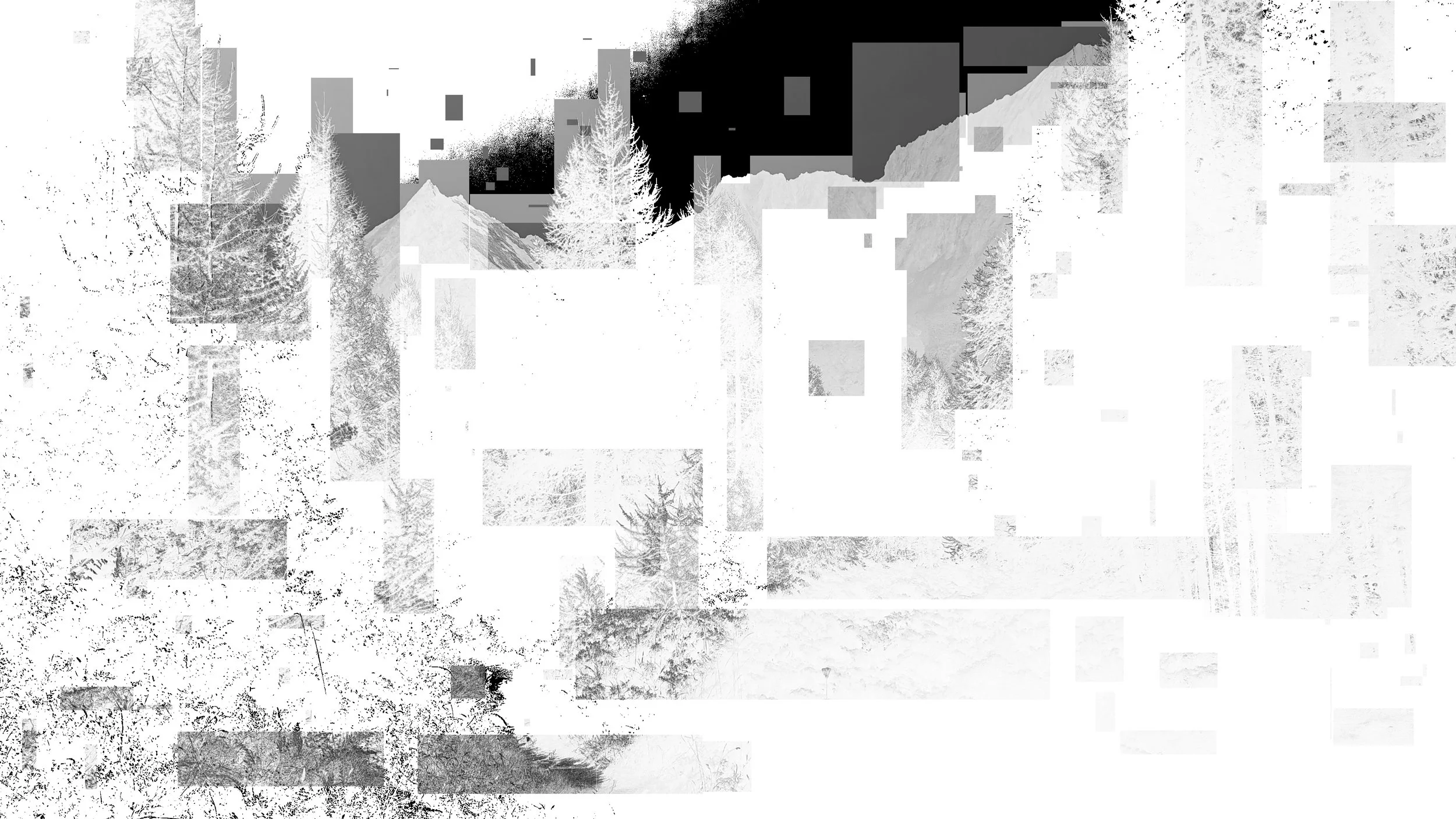 IMG20260904101146_invert6.jpg