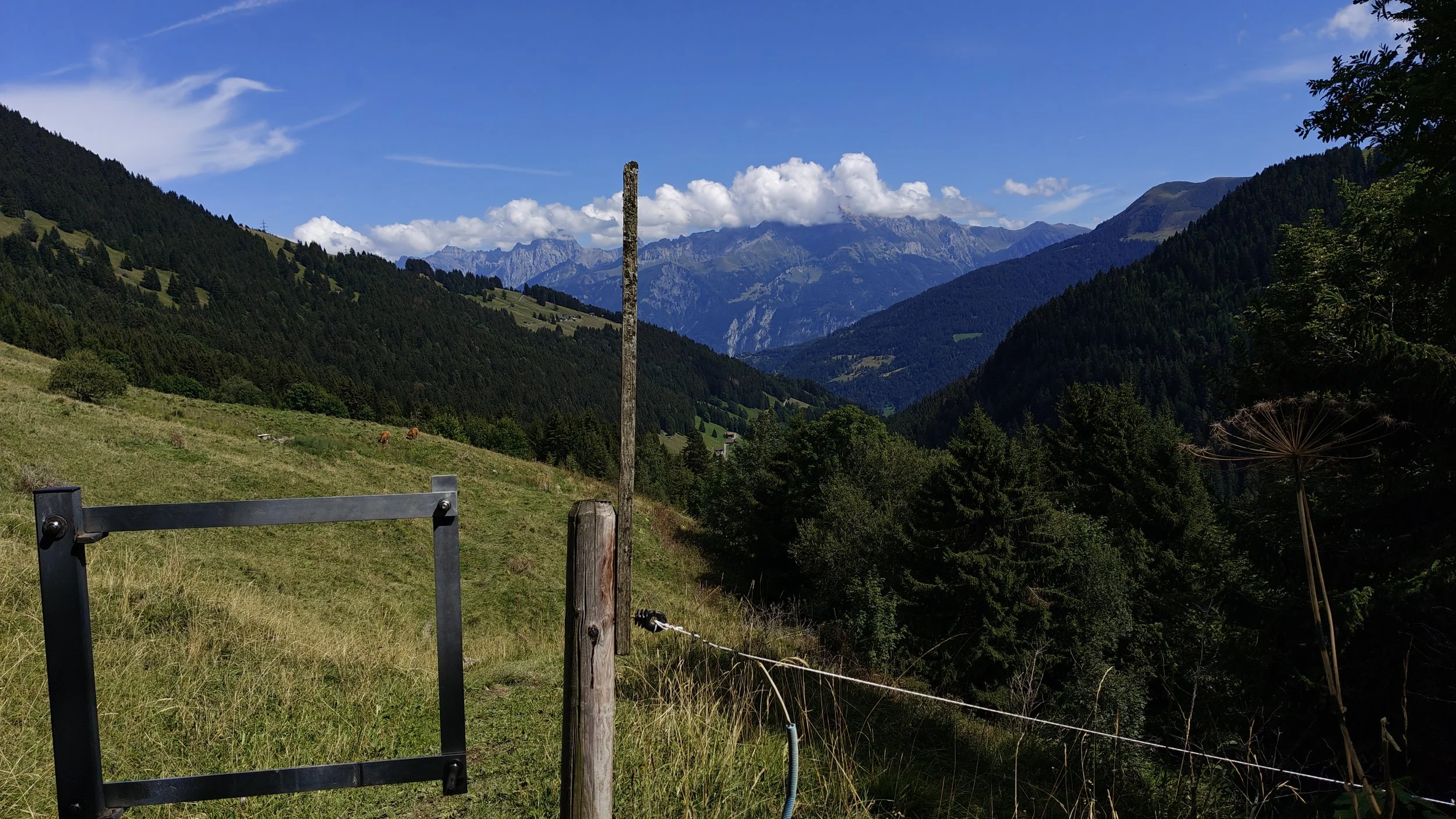 VAL DE MORGINS #1
