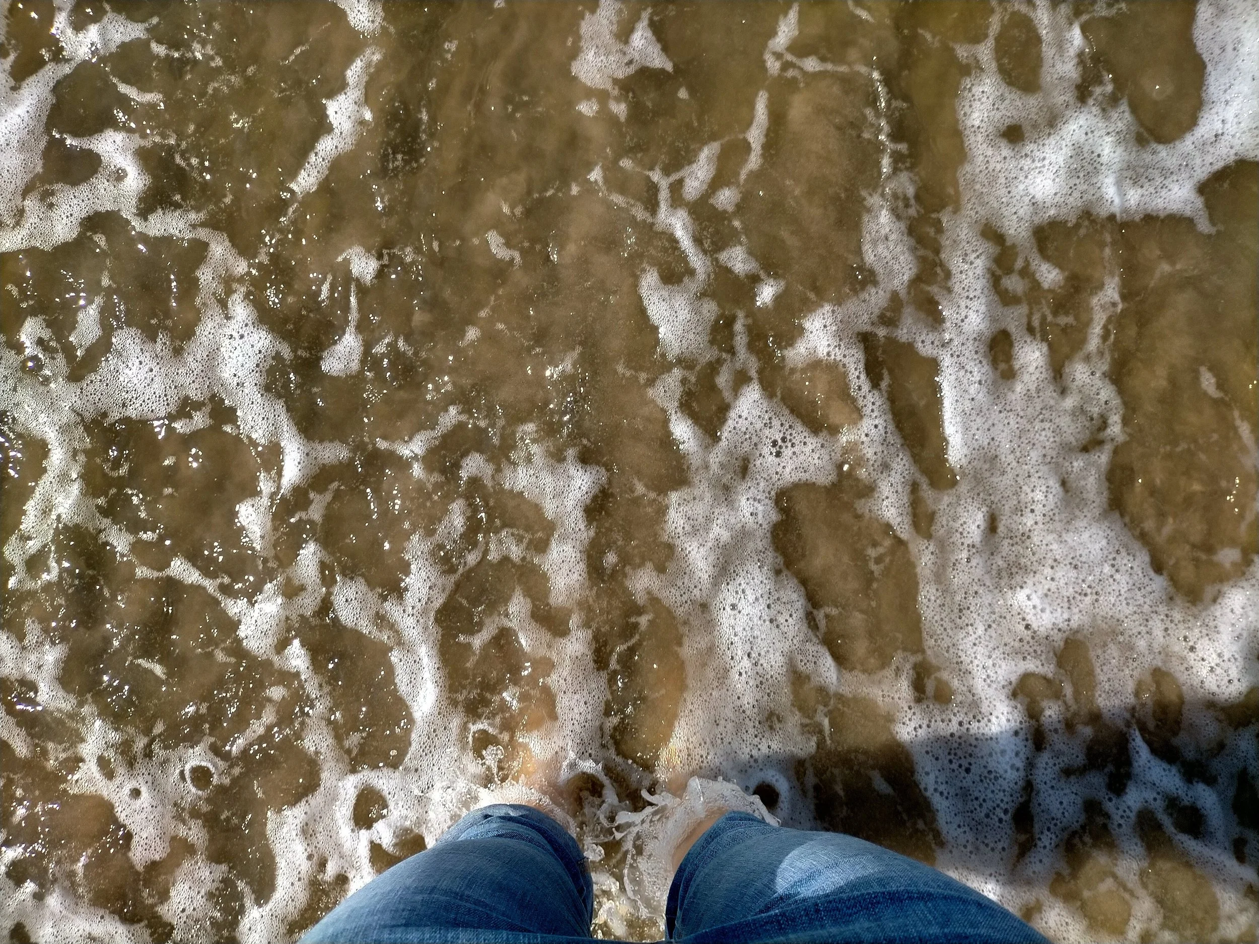 IMG20210828152630.jpg