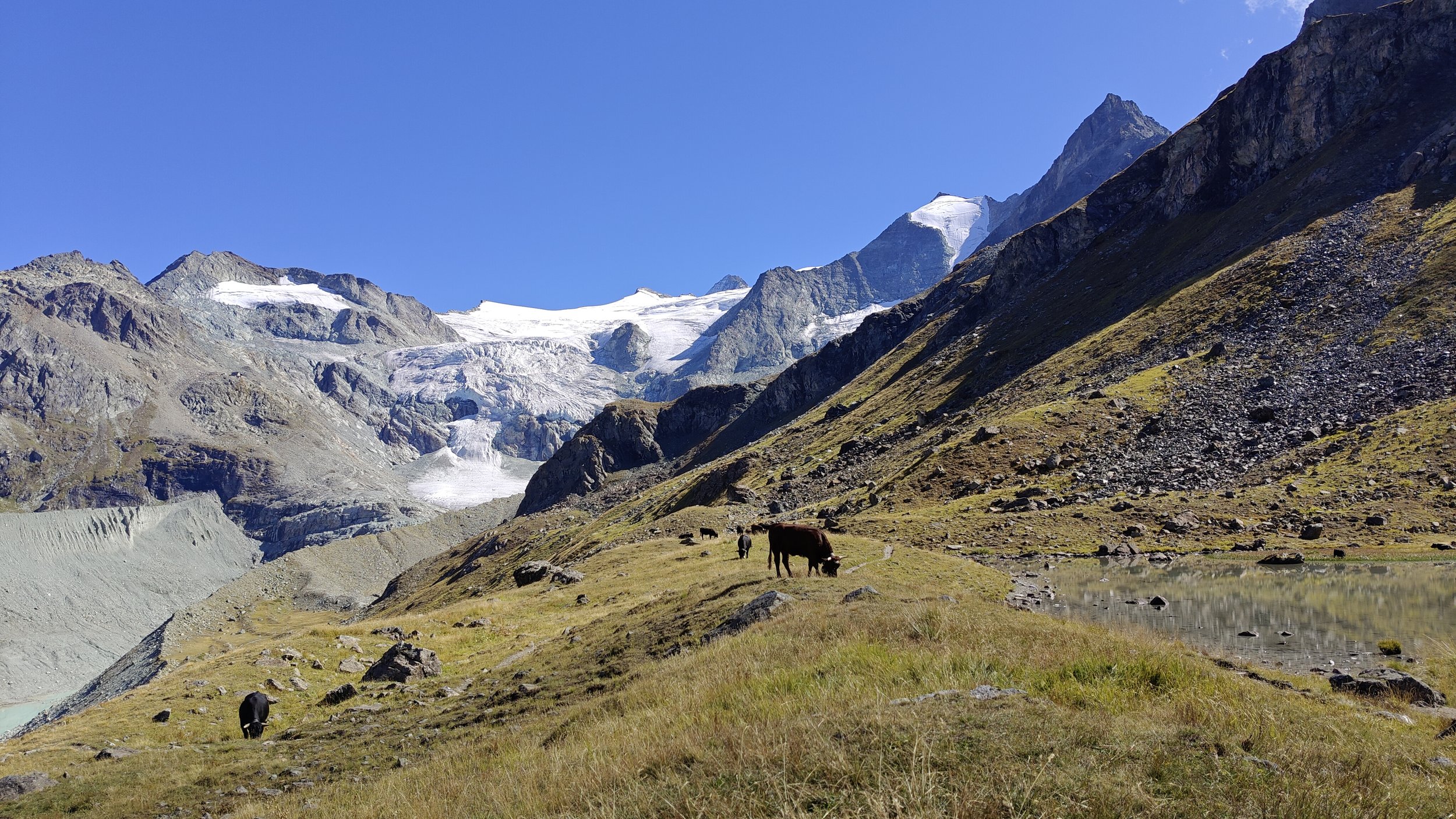 Glacier de Moiry (2549m) 