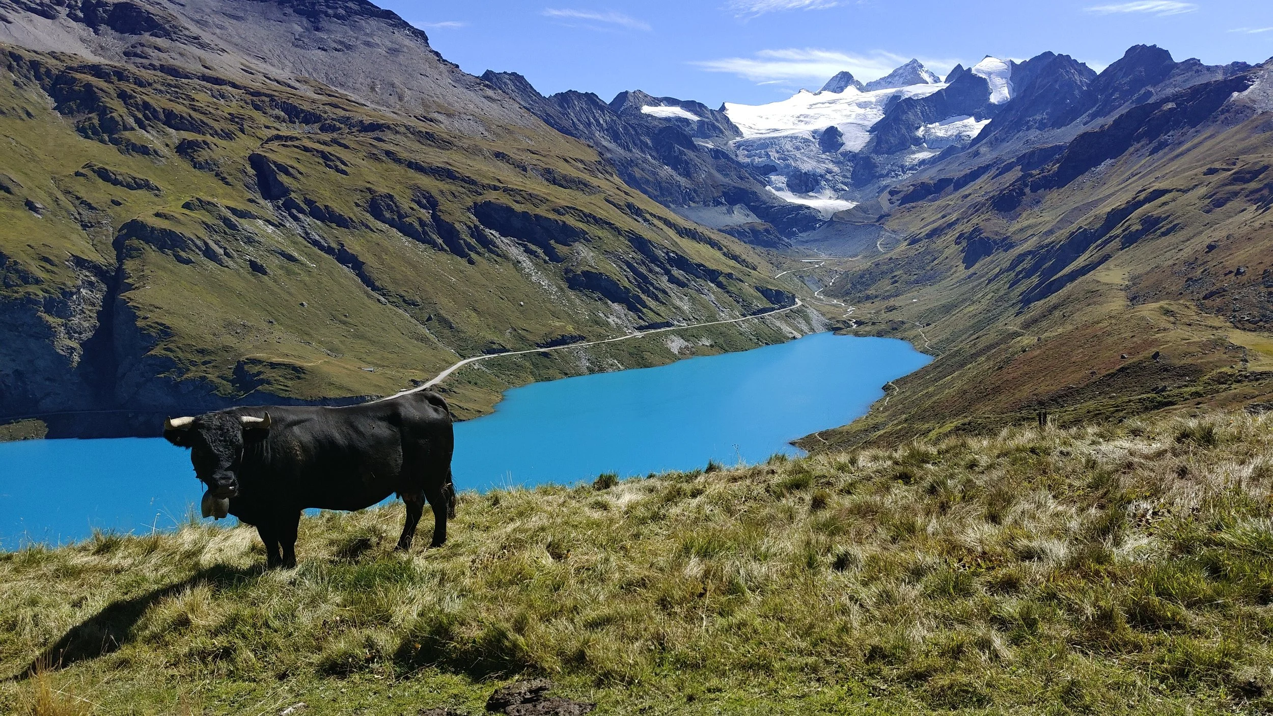 Swiss life. Lac de Moiry ( 2249 m)